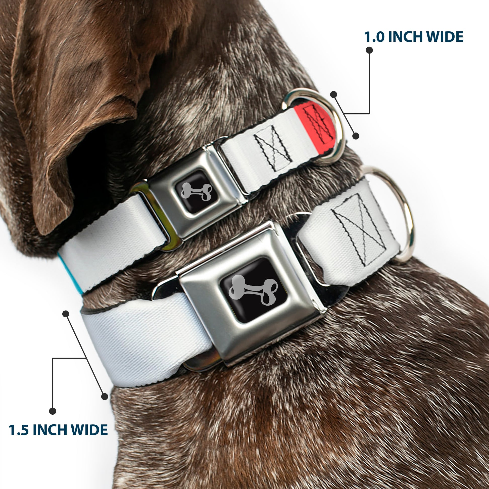 Dog Bone Black/Silver Seatbelt Buckle Collar - Summer Essentials Color Block 4 Seatbelt Buckle Collars Buckle-Down