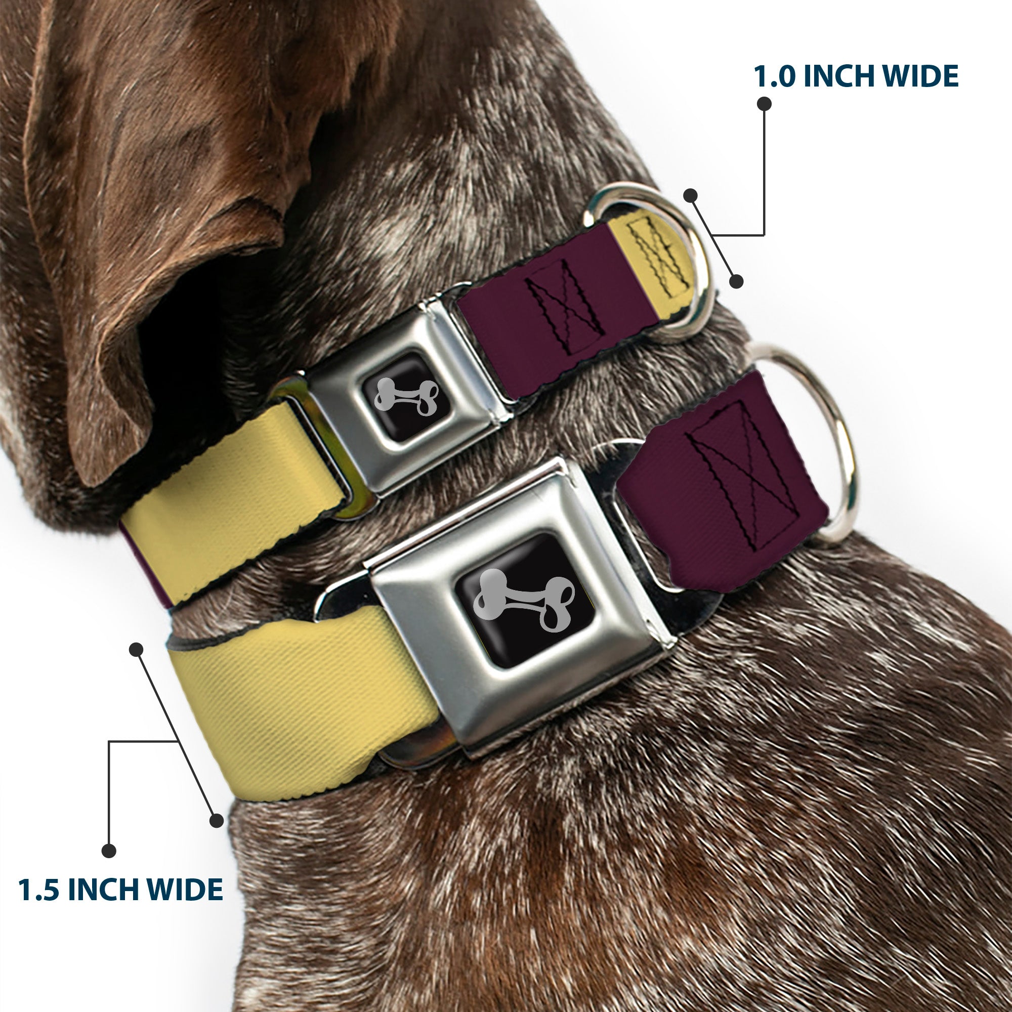 Dog Bone Black/Silver Seatbelt Buckle Collar - Summer Essentials Color Block 5 Seatbelt Buckle Collars Buckle-Down