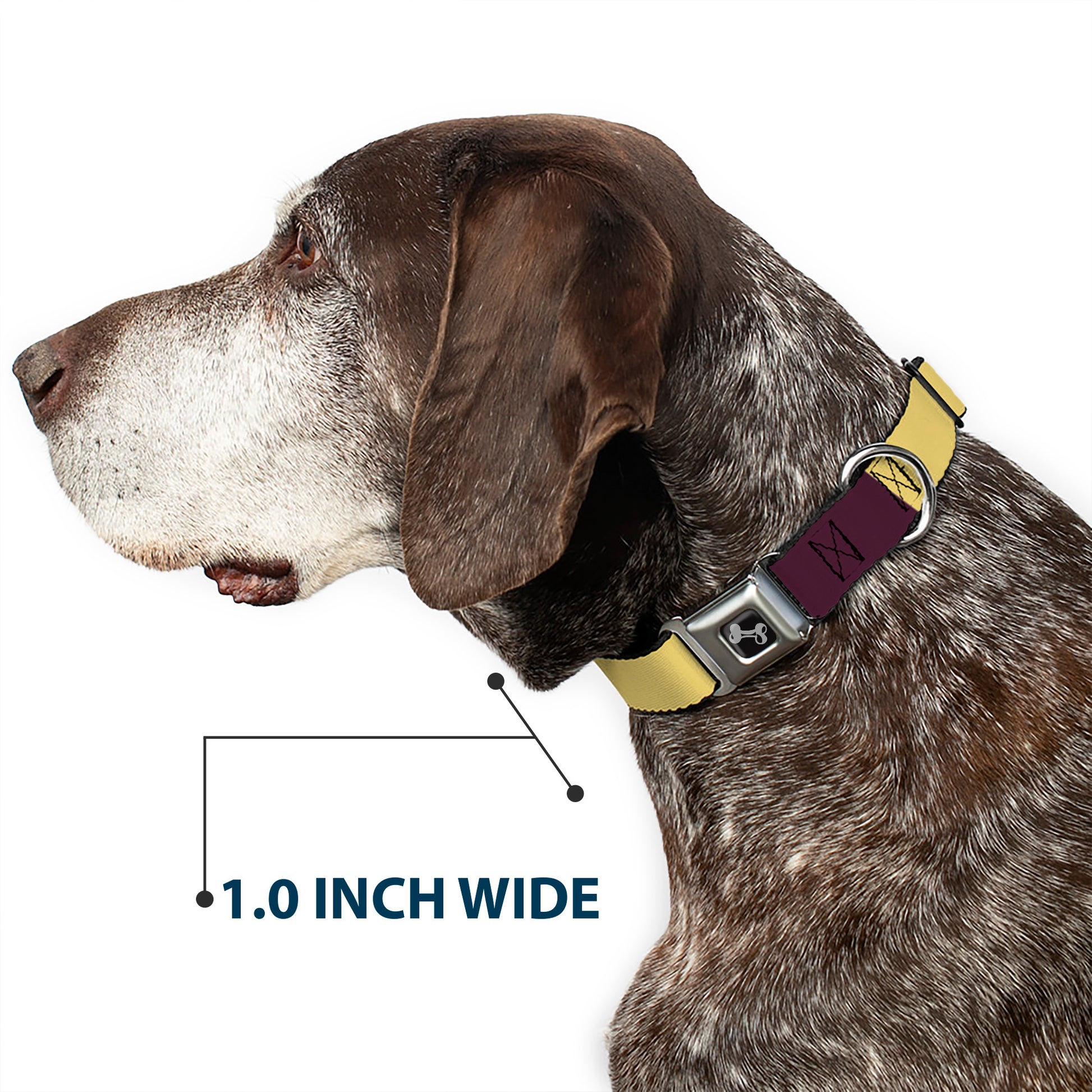 Dog Bone Black/Silver Seatbelt Buckle Collar - Summer Essentials Color Block 5 Seatbelt Buckle Collars Buckle-Down