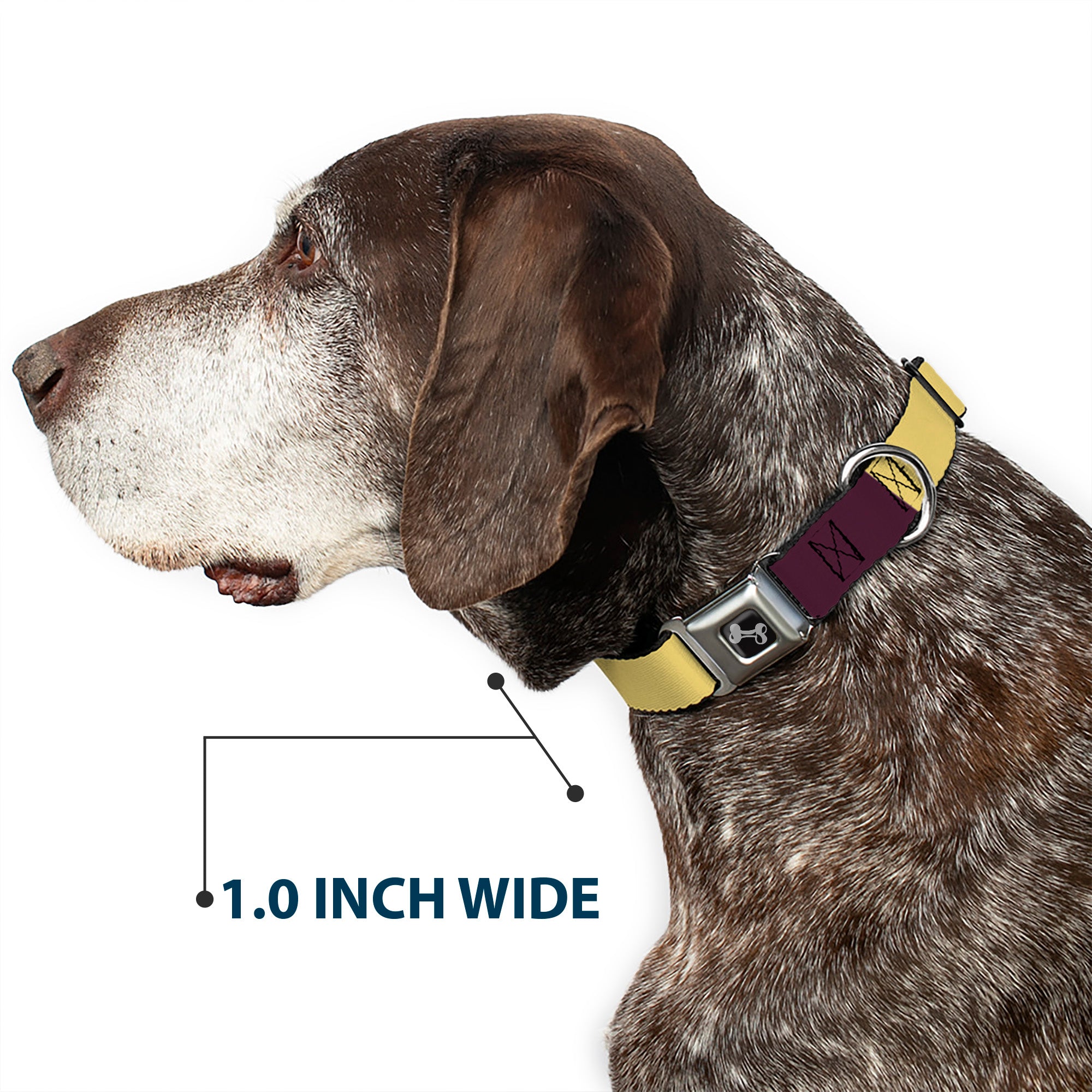Dog Bone Black/Silver Seatbelt Buckle Collar - Summer Essentials Color Block 5 Seatbelt Buckle Collars Buckle-Down