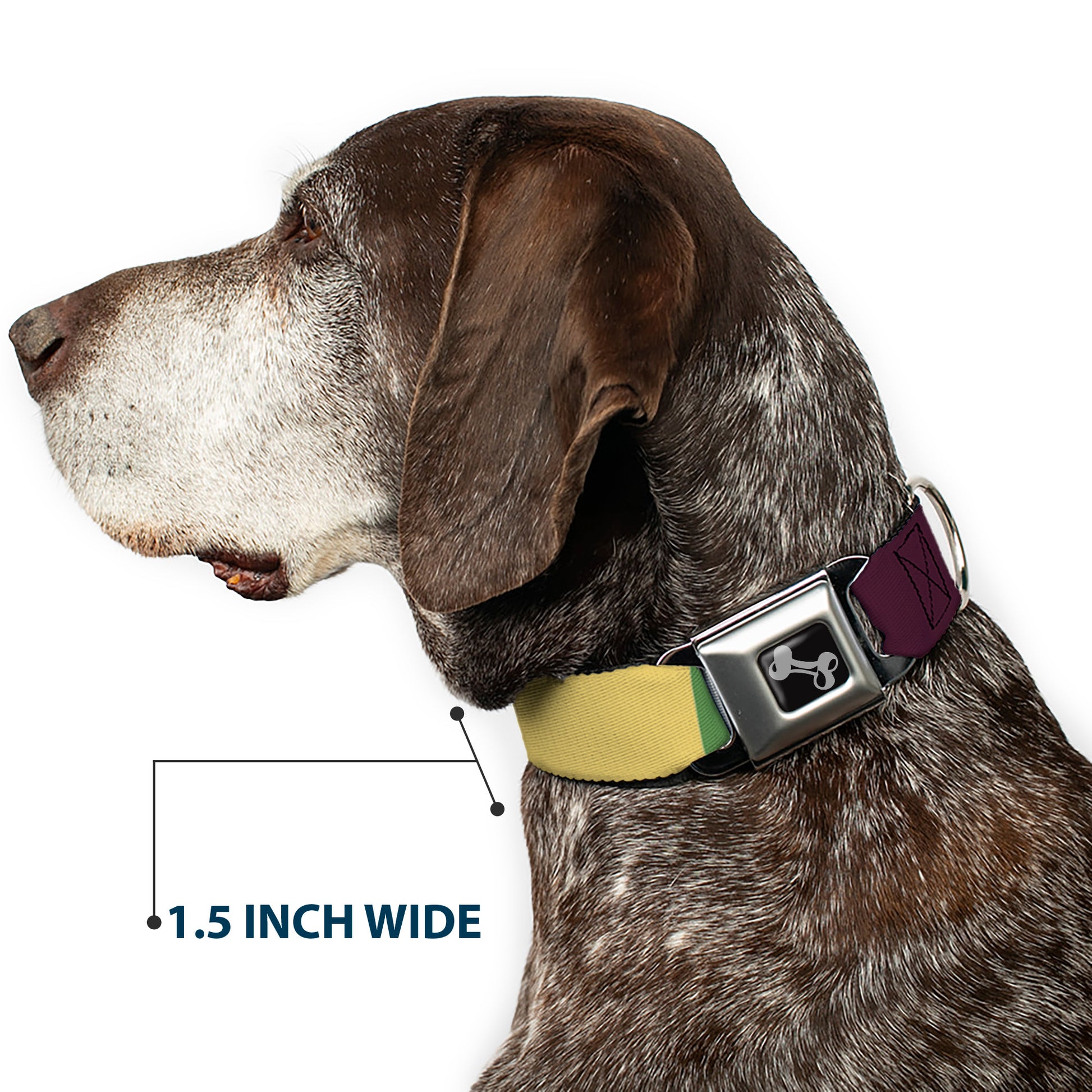 Dog Bone Black/Silver Seatbelt Buckle Collar - Summer Essentials Color Block 5 Seatbelt Buckle Collars Buckle-Down