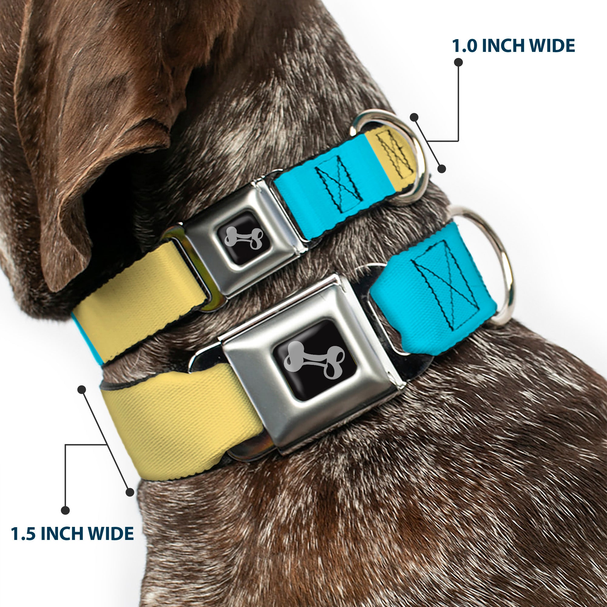 Dog Bone Black/Silver Seatbelt Buckle Collar - Summer Essentials Color Block 6 Seatbelt Buckle Collars Buckle-Down