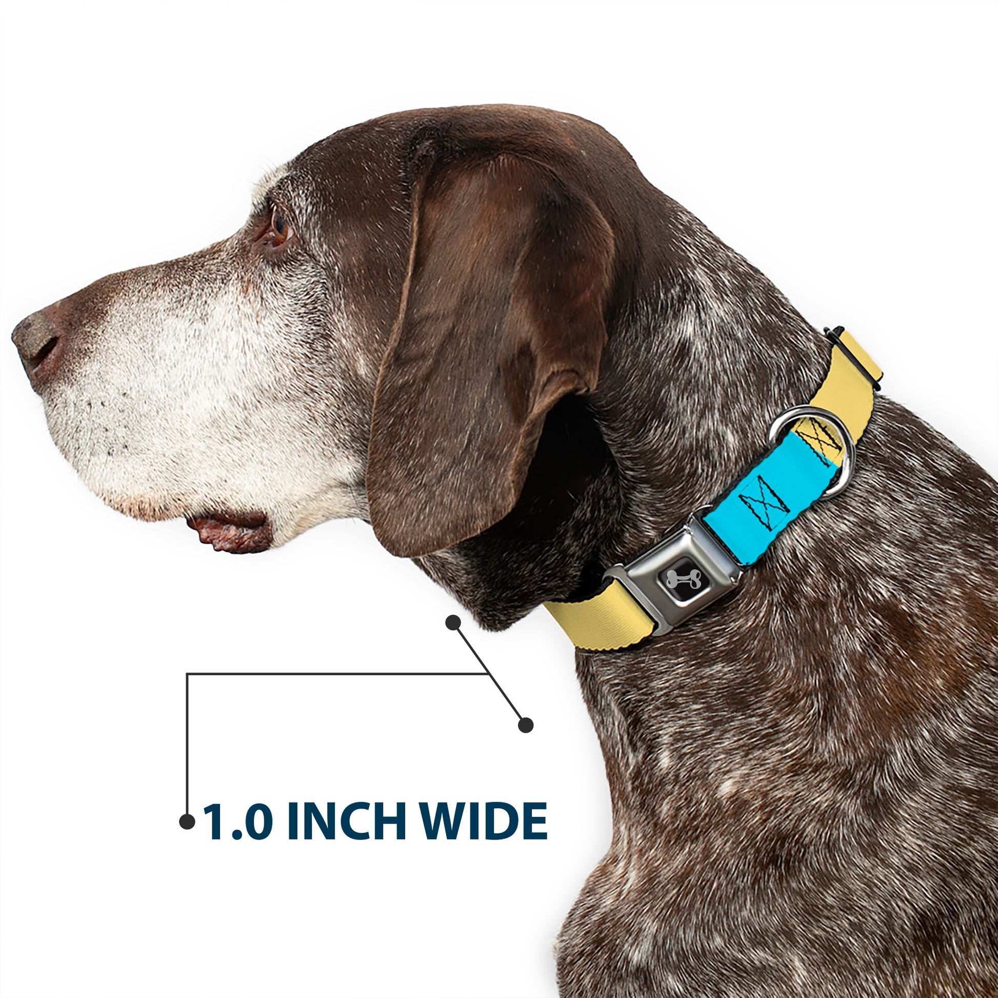 Dog Bone Black/Silver Seatbelt Buckle Collar - Summer Essentials Color Block 6 Seatbelt Buckle Collars Buckle-Down