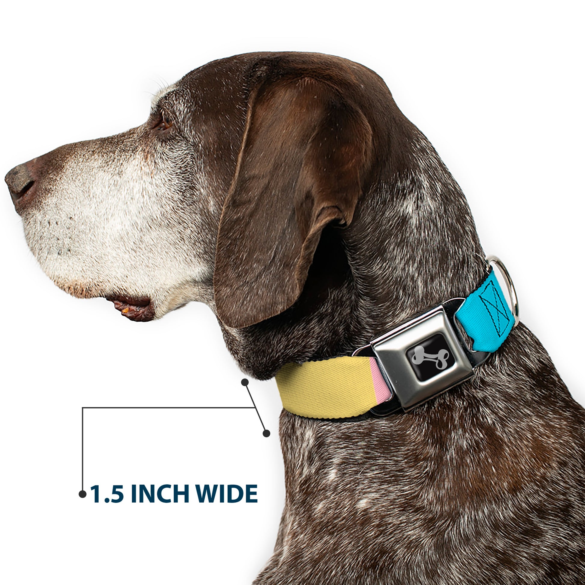 Dog Bone Black/Silver Seatbelt Buckle Collar - Summer Essentials Color Block 6 Seatbelt Buckle Collars Buckle-Down