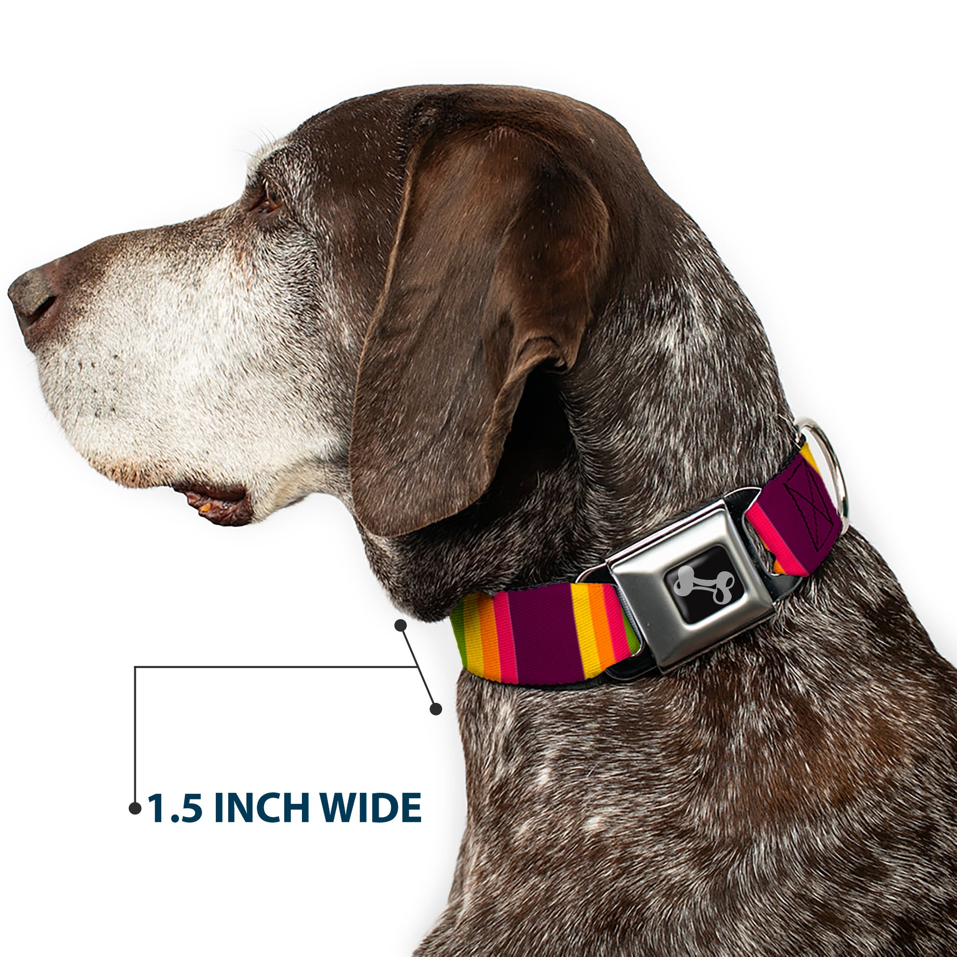Dog Bone Black/Silver Seatbelt Buckle Collar - Summer Essentials Color Block 7 Seatbelt Buckle Collars Buckle-Down