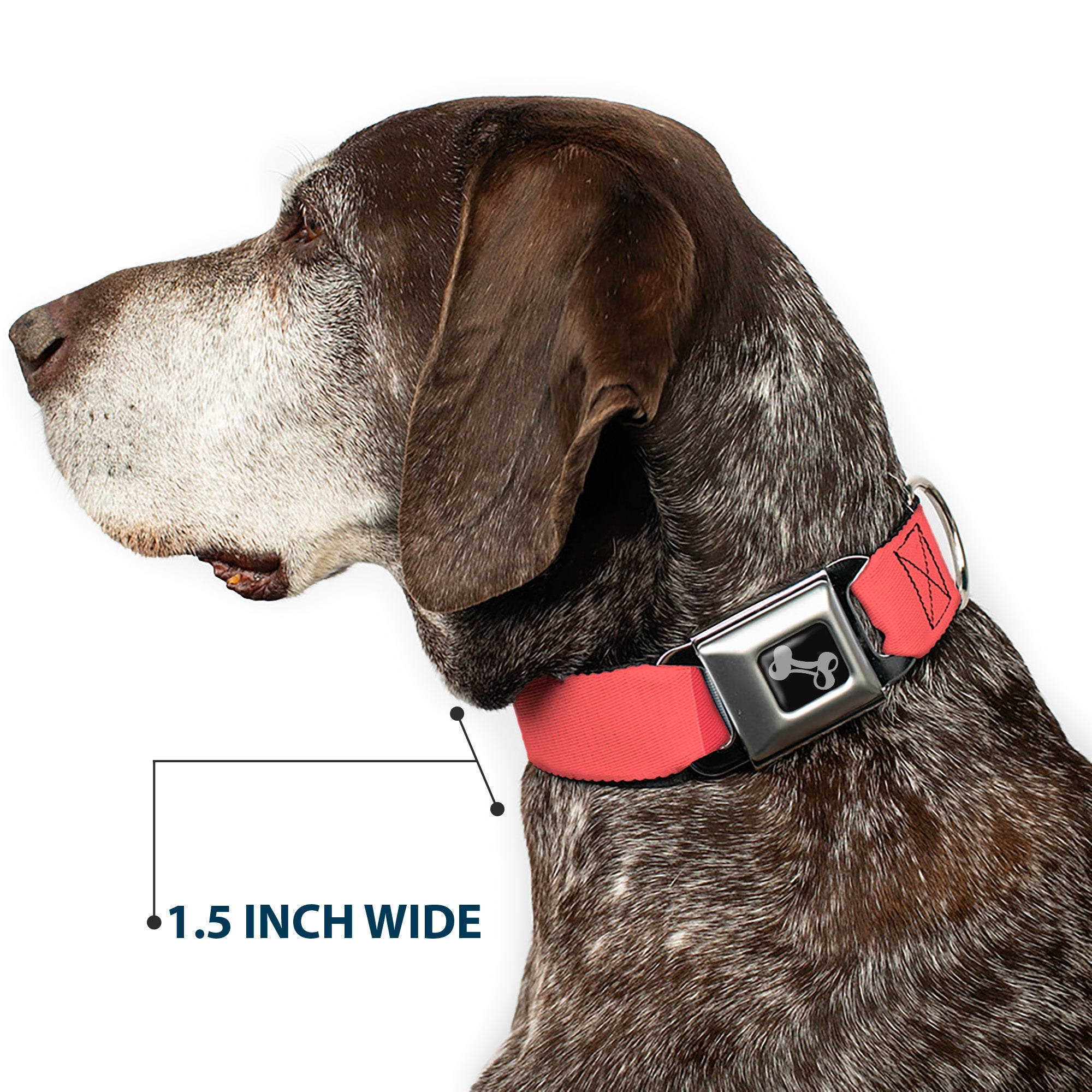 Dog Bone Black/Silver Seatbelt Buckle Collar - Summer Essentials Color Block 8 Seatbelt Buckle Collars Buckle-Down