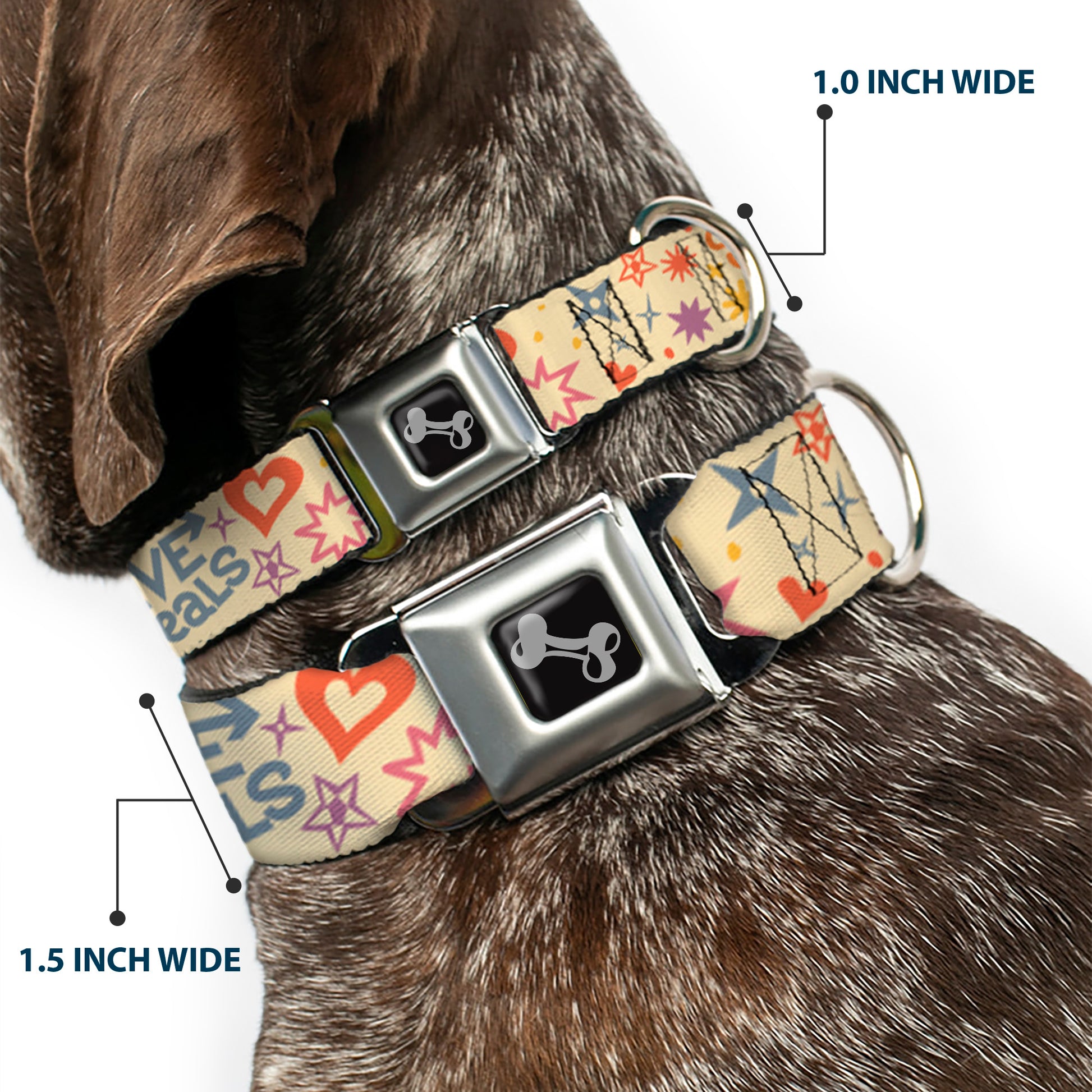 Dog Bone Black/Silver Seatbelt Buckle Collar - Summer Harmony Collage Beige/Multi Color Seatbelt Buckle Collars Buckle-Down