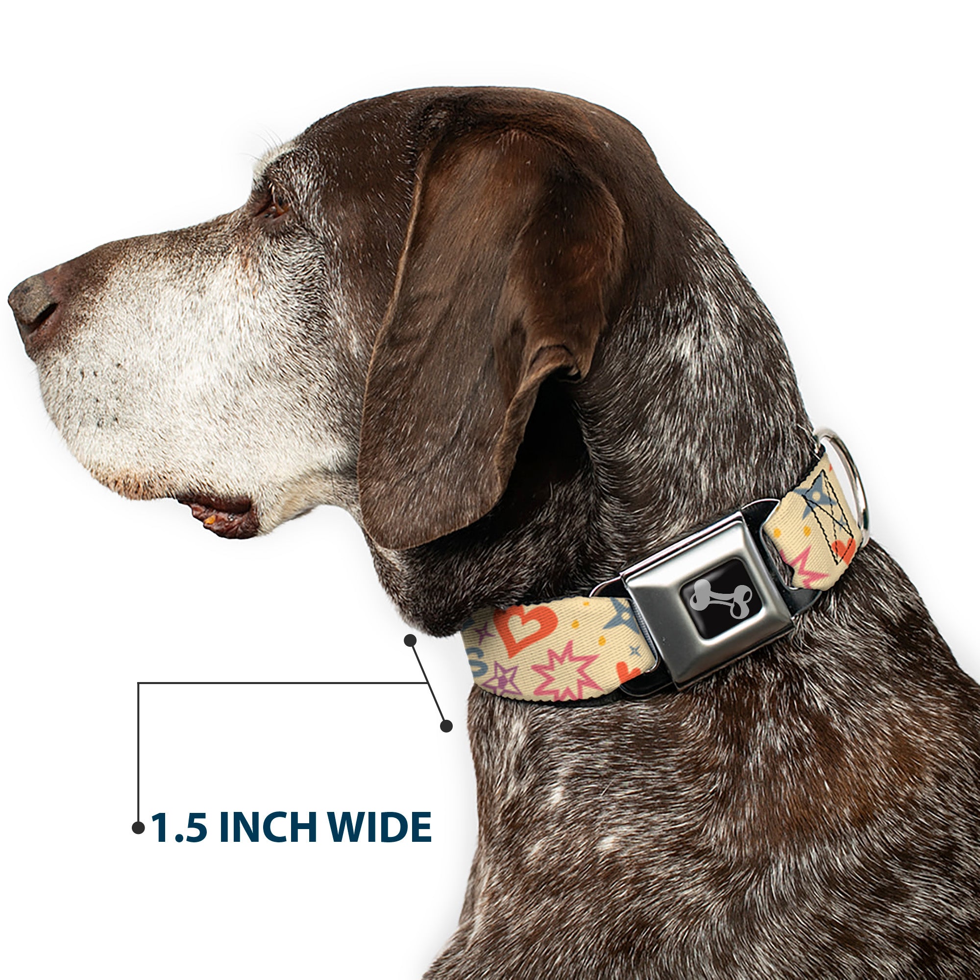 Dog Bone Black/Silver Seatbelt Buckle Collar - Summer Harmony Collage Beige/Multi Color Seatbelt Buckle Collars Buckle-Down