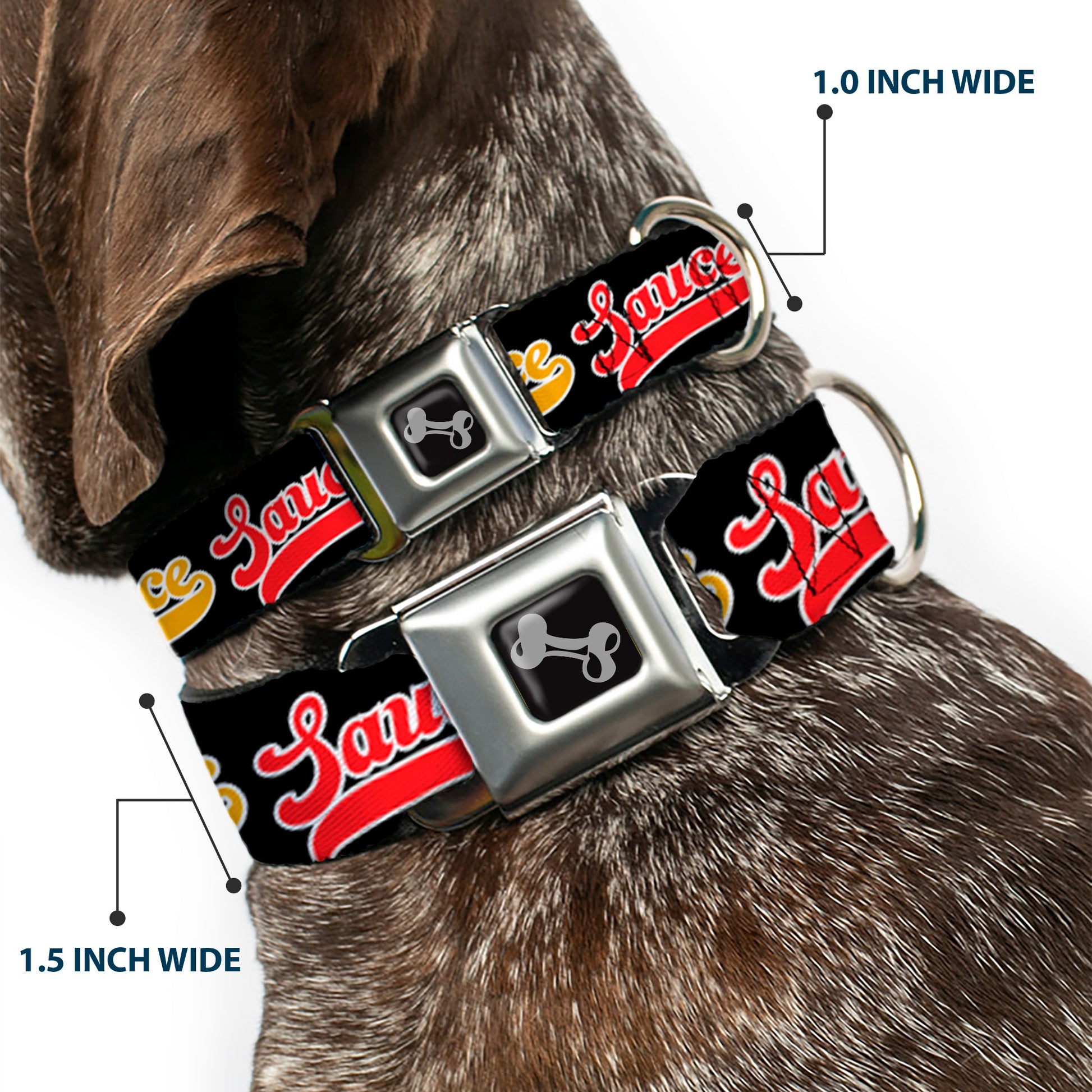 Dog Bone Black/Silver Seatbelt Buckle Collar - SAUCE Baseball Script Black/Multi Color Seatbelt Buckle Collars Buckle-Down