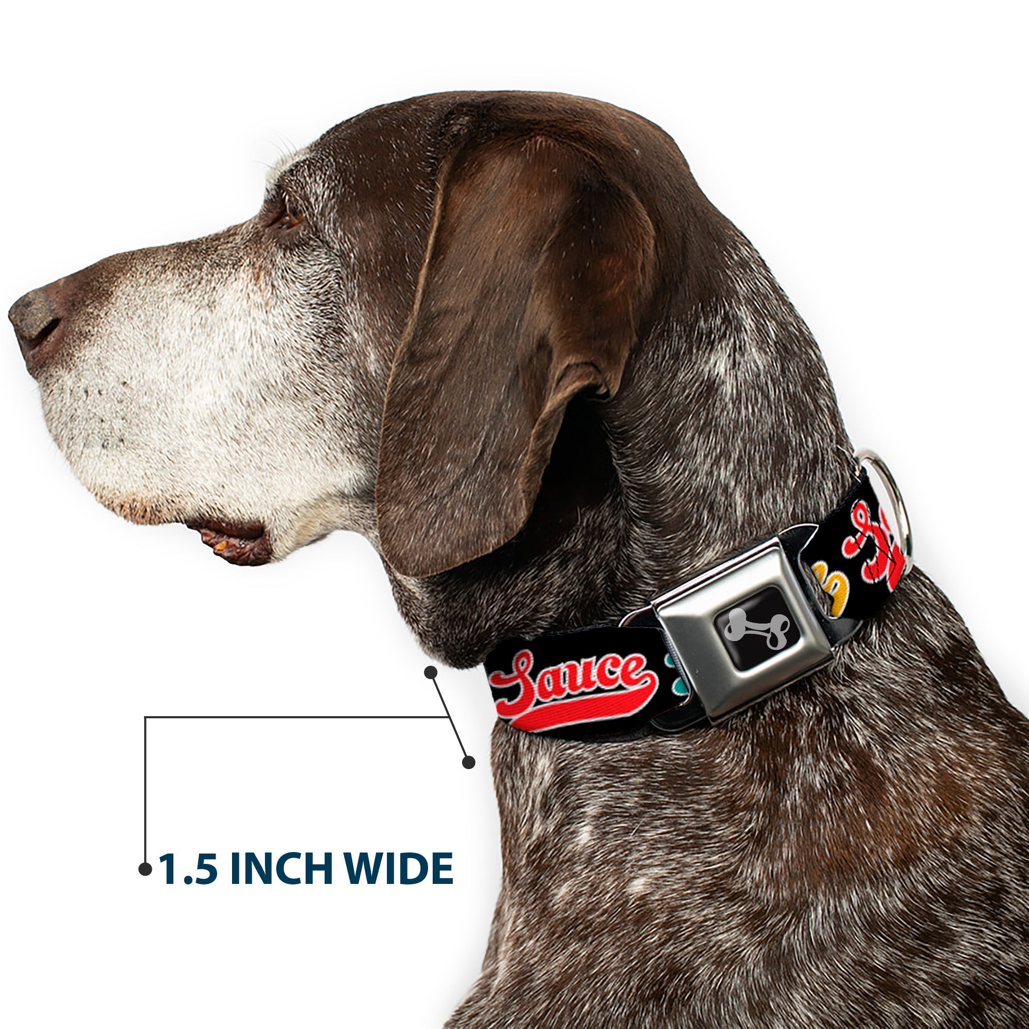 Dog Bone Black/Silver Seatbelt Buckle Collar - SAUCE Baseball Script Black/Multi Color Seatbelt Buckle Collars Buckle-Down