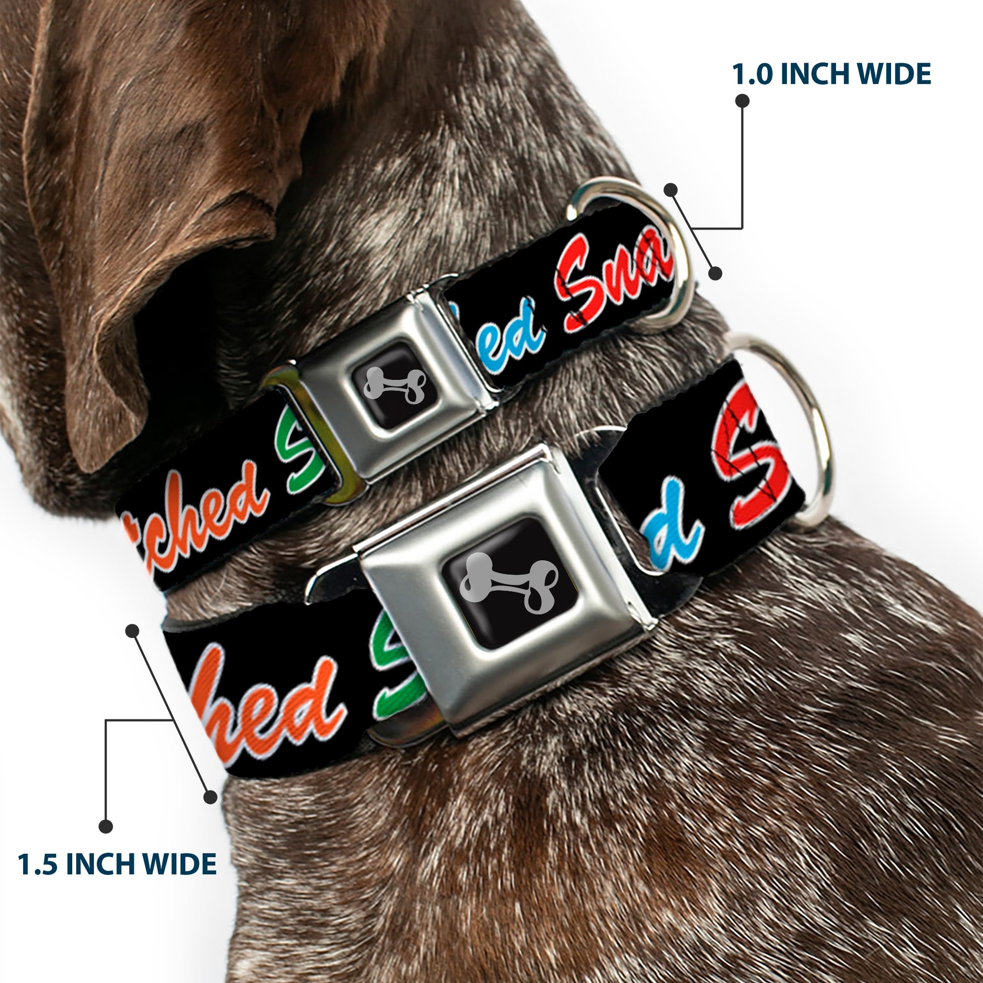 Dog Bone Black/Silver Seatbelt Buckle Collar - SNATCHED Script Black/Multi Color Seatbelt Buckle Collars Buckle-Down