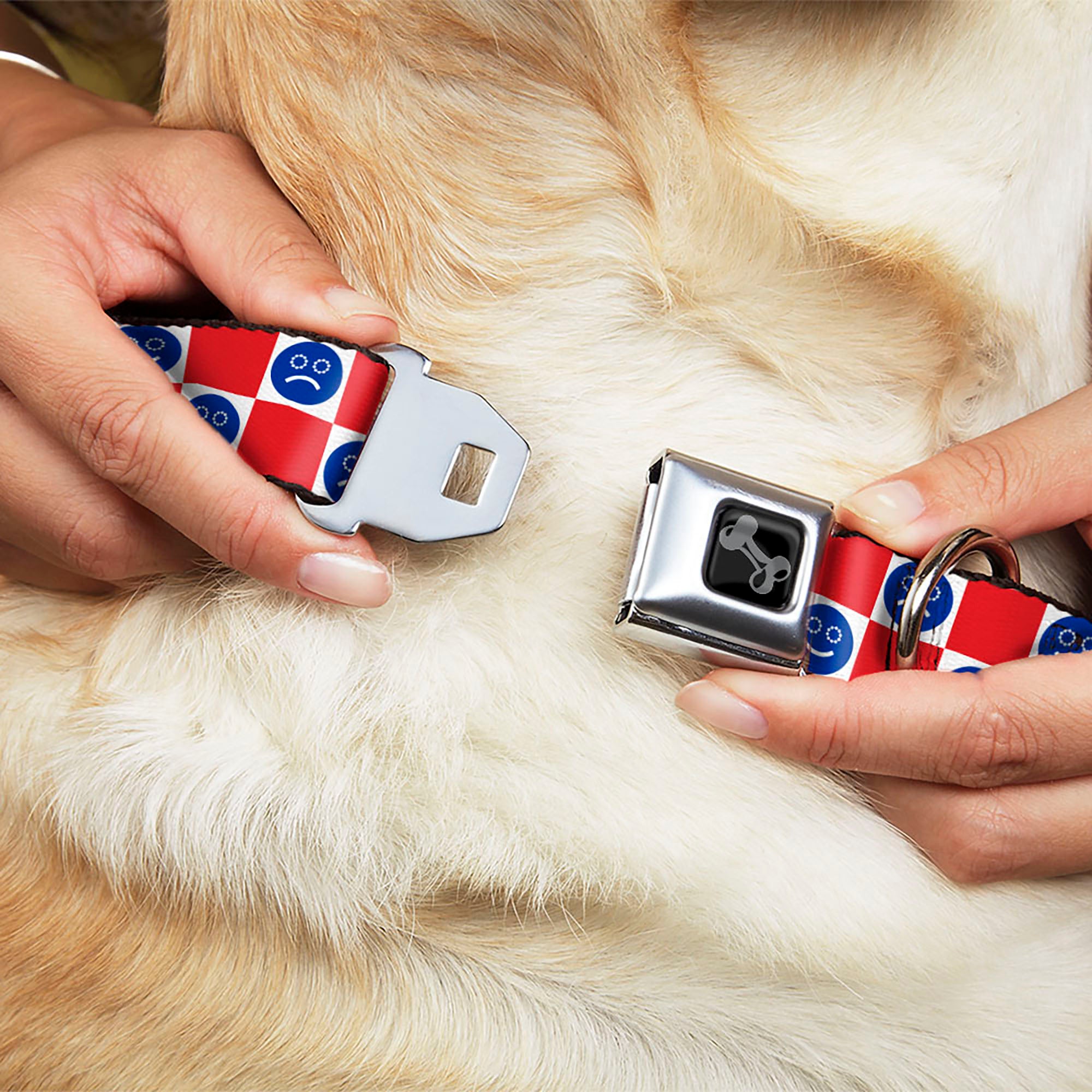 Dog Bone Black/Silver Seatbelt Buckle Collar - Smiley Sad Face Checker Red/White/Blue Seatbelt Buckle Collars Buckle-Down