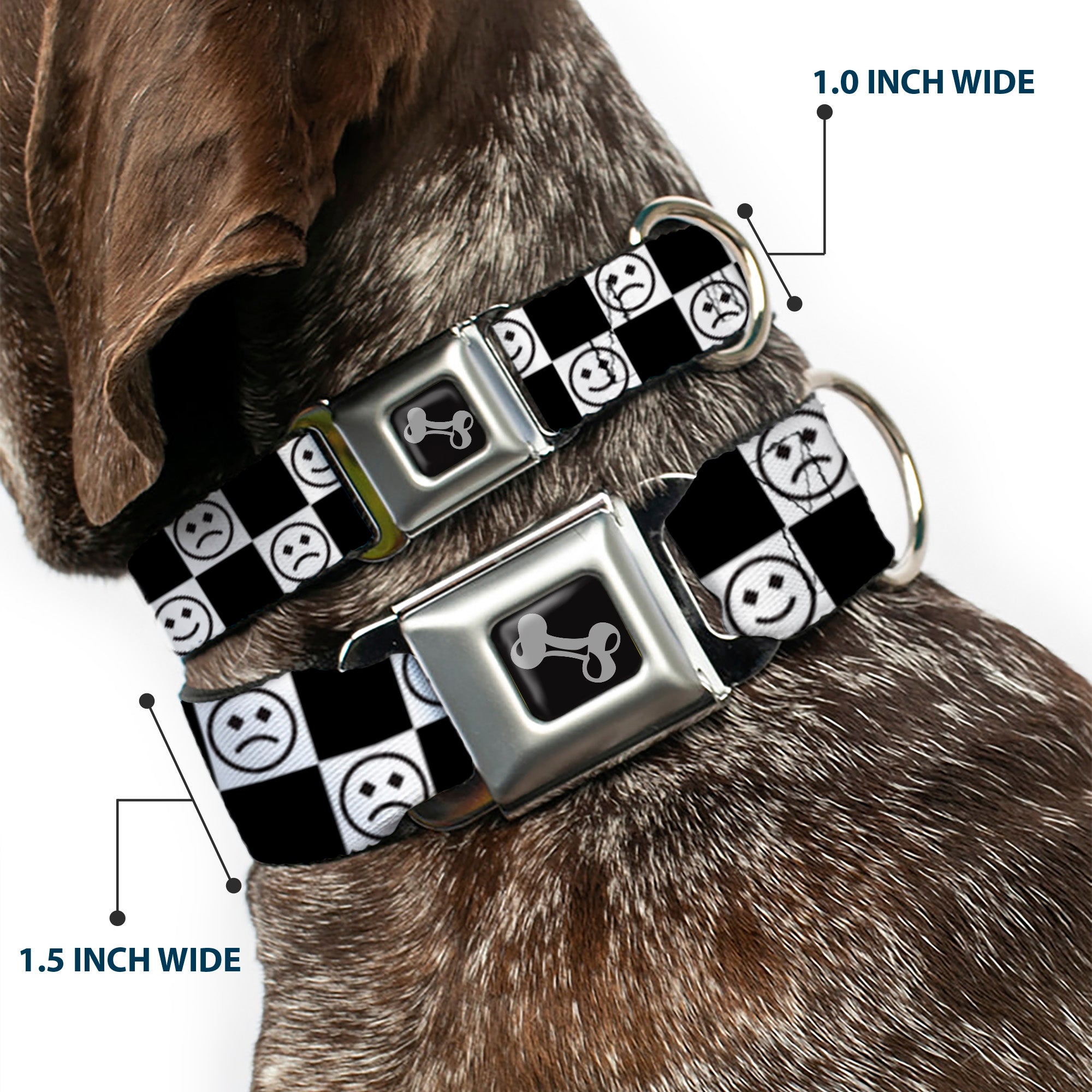 Dog Bone Black/Silver Seatbelt Buckle Collar - Smiley Sad Face Checker Black/White Seatbelt Buckle Collars Buckle-Down