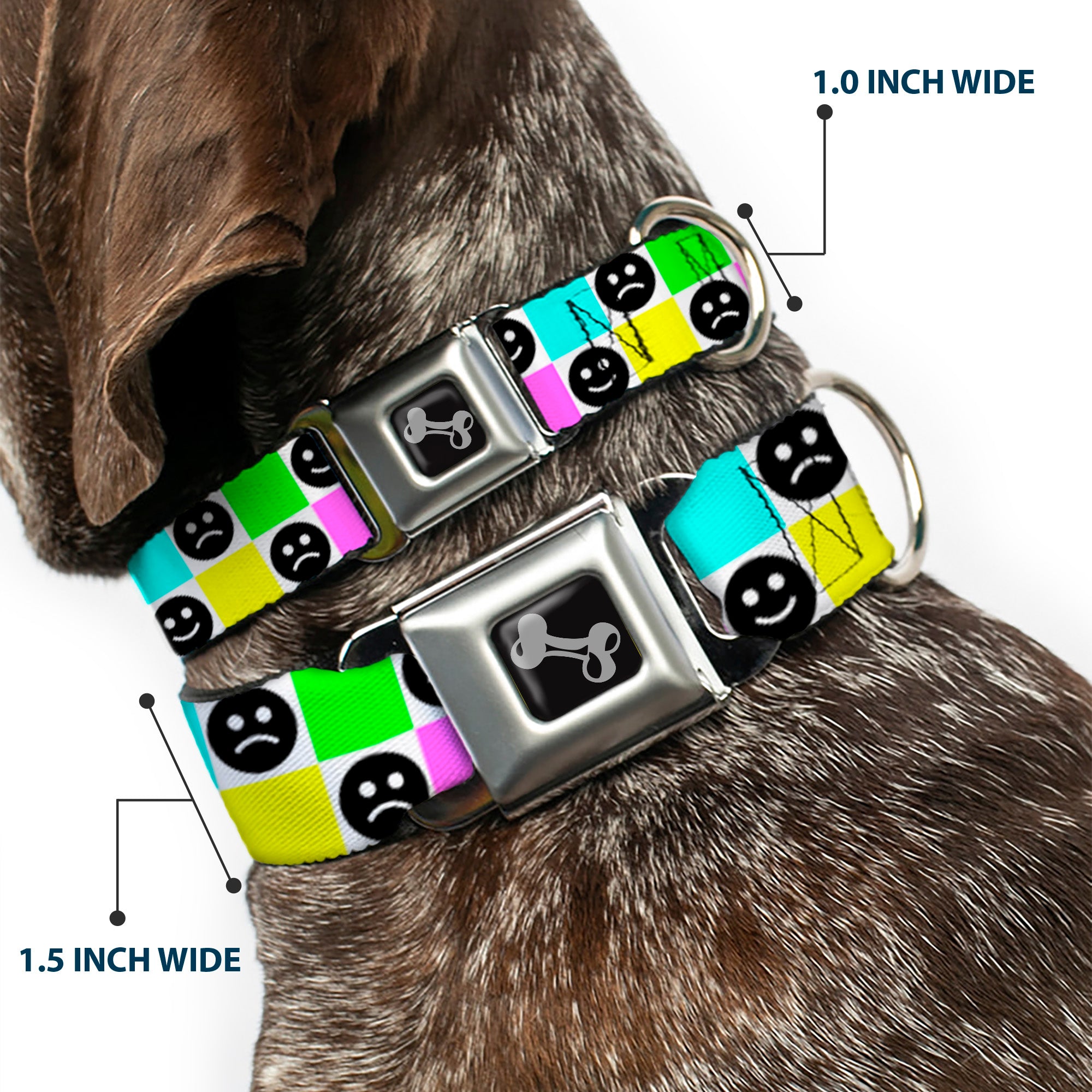 Dog Bone Black/Silver Seatbelt Buckle Collar - Smiley Sad Face Checker Multi Color/White Seatbelt Buckle Collars Buckle-Down