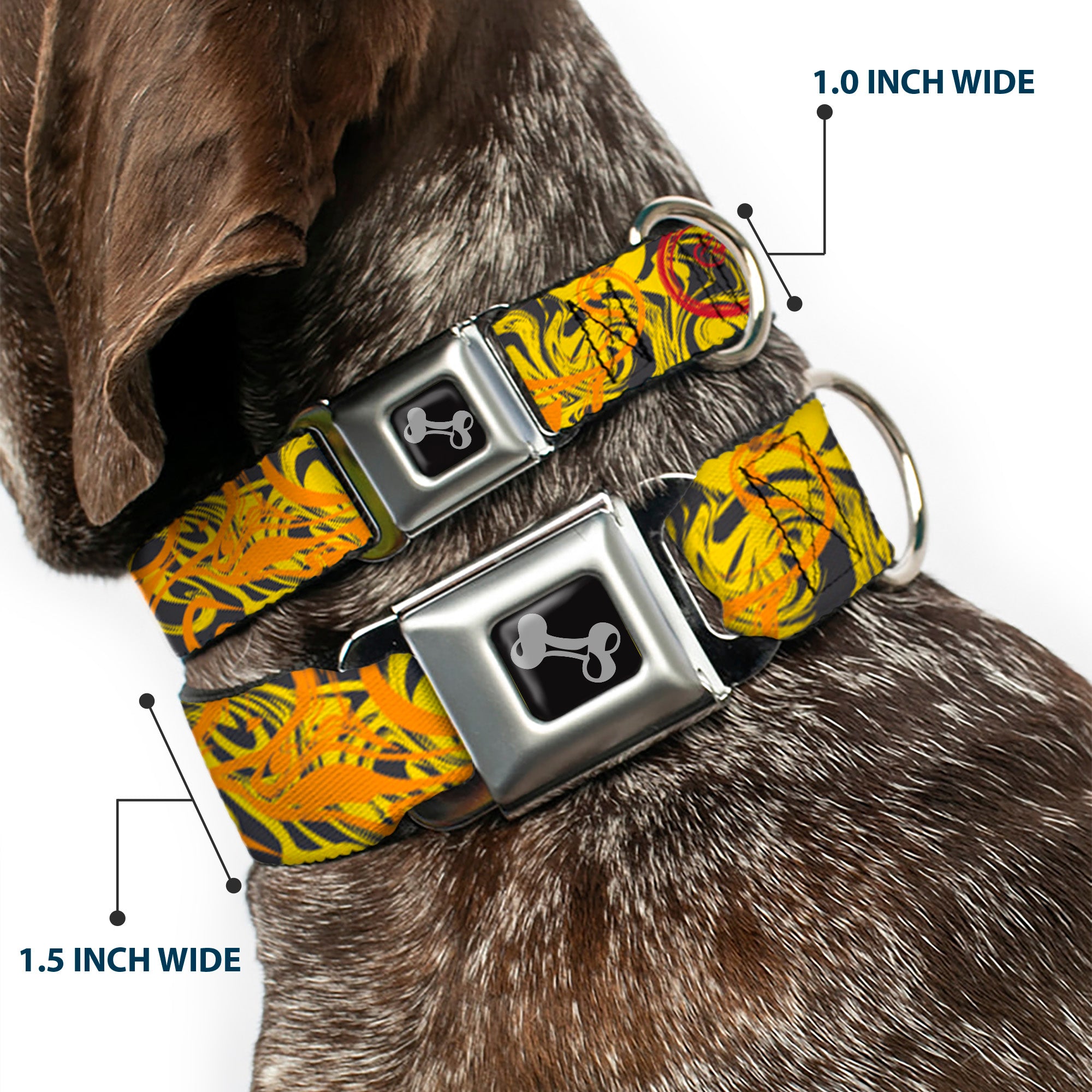 Dog Bone Black/Silver Seatbelt Buckle Collar - Swirl Mix Gray/Multi Color Seatbelt Buckle Collars Buckle-Down