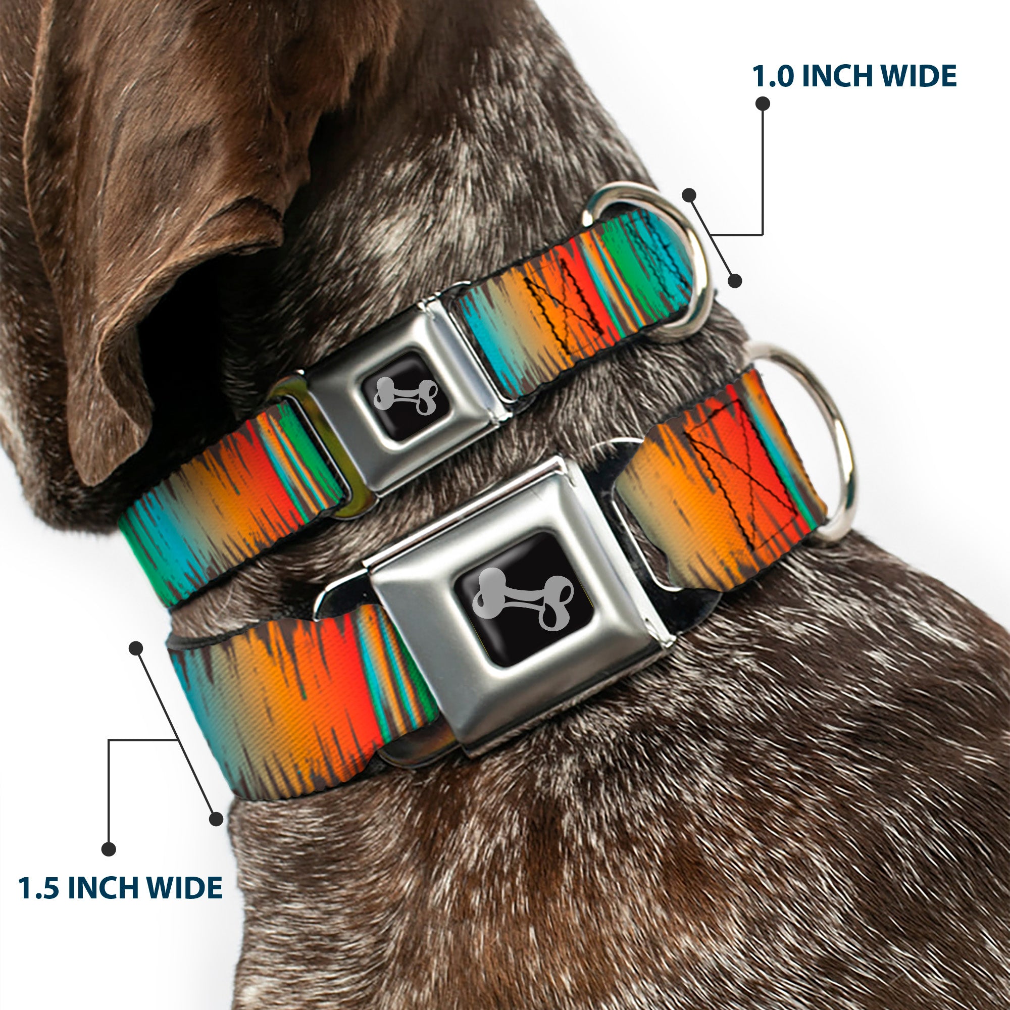 Dog Bone Black/Silver Seatbelt Buckle Collar - Scribble Zarape Fade Brown/Multi Color Seatbelt Buckle Collars Buckle-Down