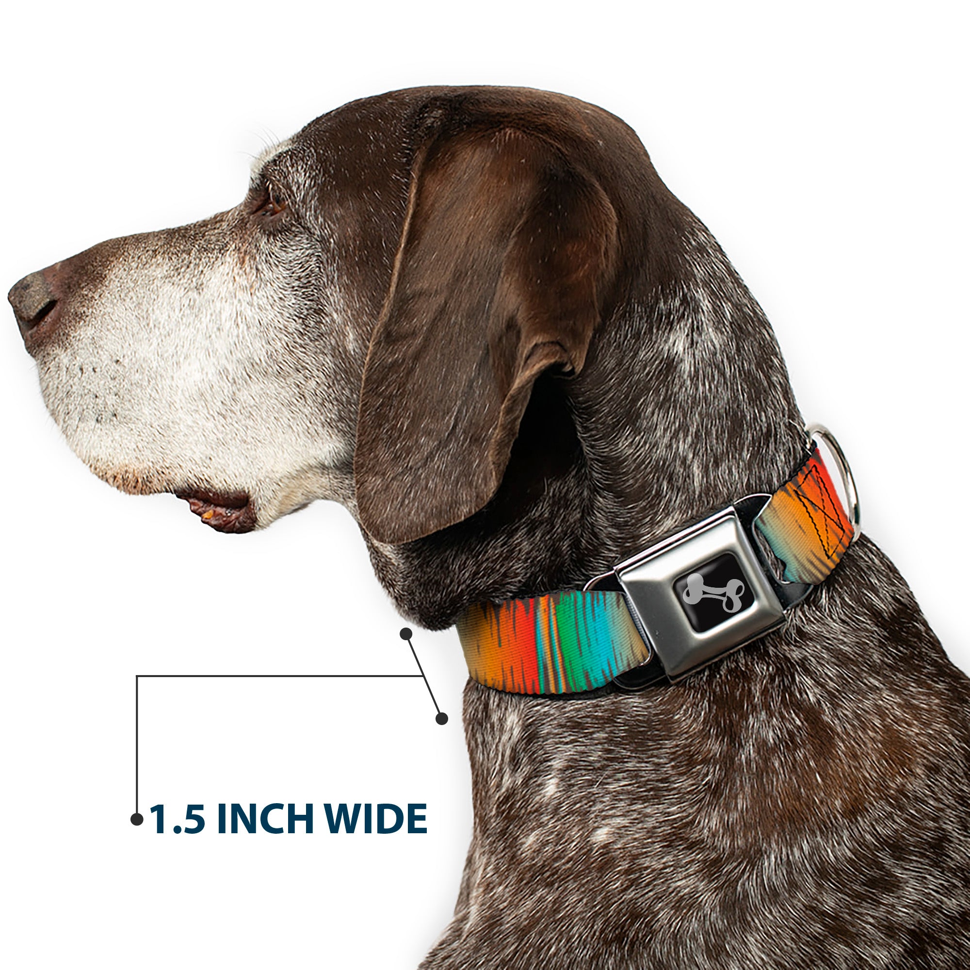 Dog Bone Black/Silver Seatbelt Buckle Collar - Scribble Zarape Fade Brown/Multi Color Seatbelt Buckle Collars Buckle-Down