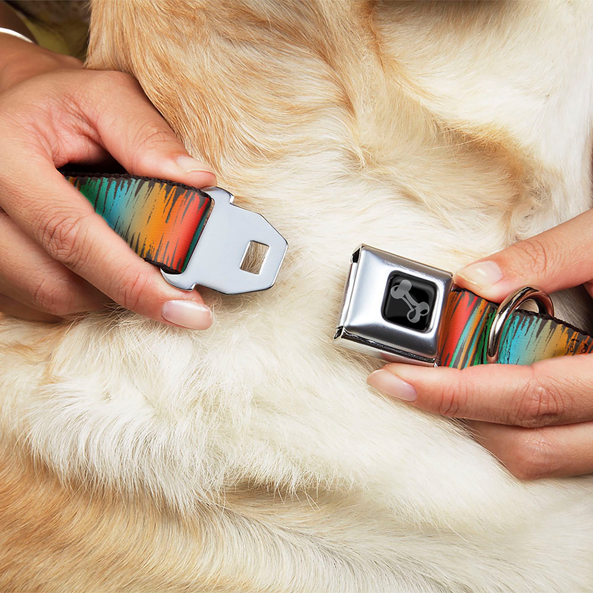 Dog Bone Black/Silver Seatbelt Buckle Collar - Scribble Zarape Fade Brown/Multi Color Seatbelt Buckle Collars Buckle-Down