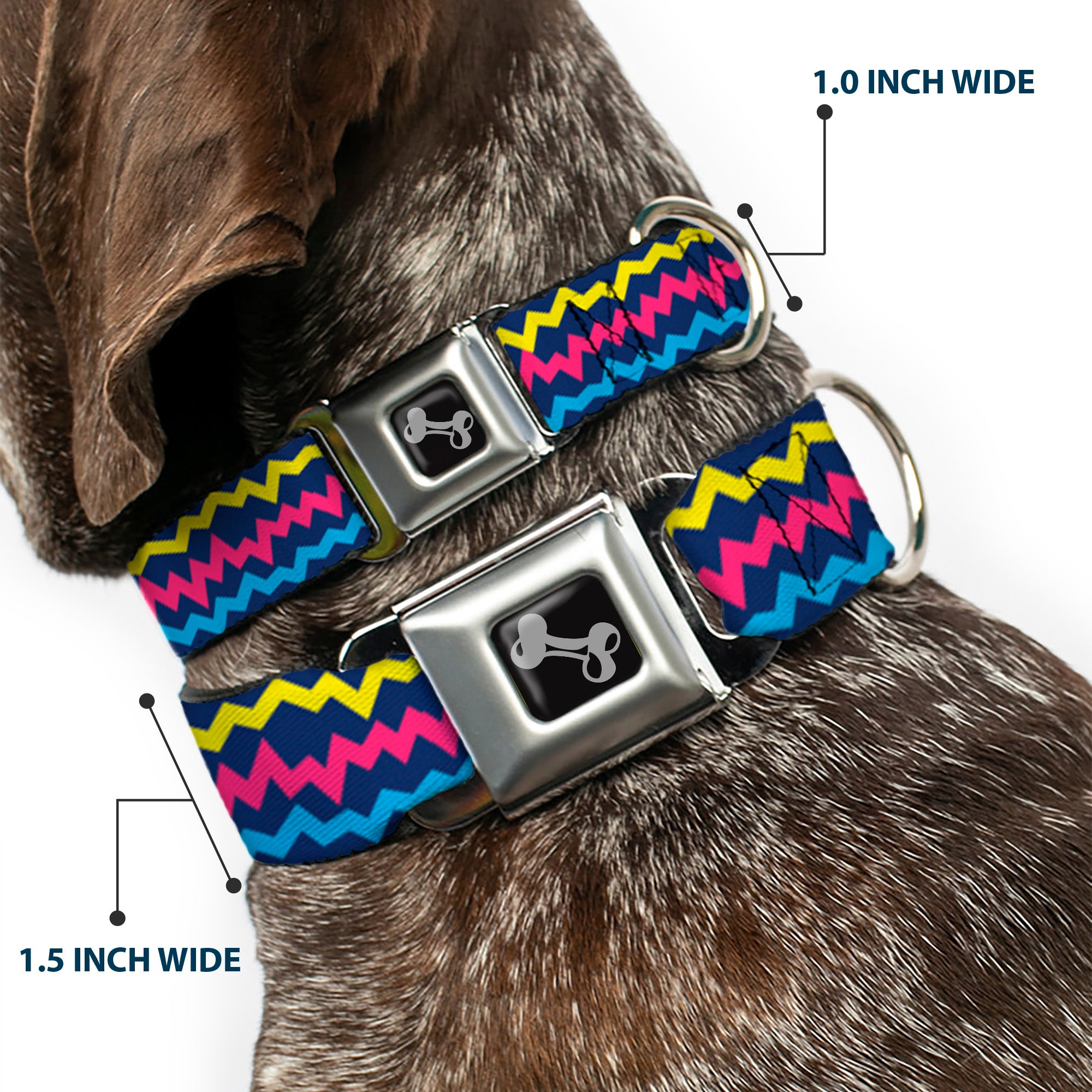 Dog Bone Black/Silver Seatbelt Buckle Collar - Scribble Zig Zag Stripe Navy/Multi Color Seatbelt Buckle Collars Buckle-Down