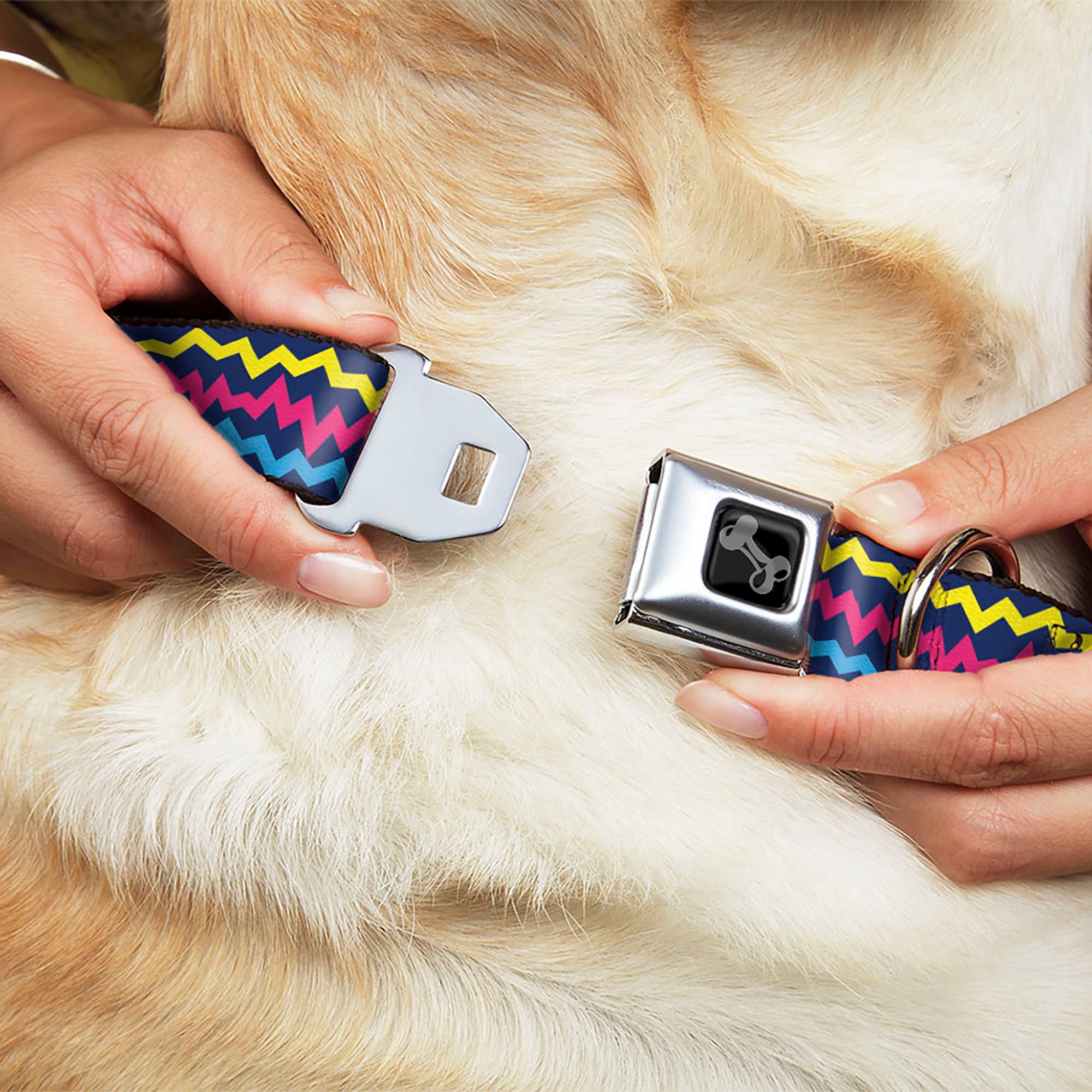 Dog Bone Black/Silver Seatbelt Buckle Collar - Scribble Zig Zag Stripe Navy/Multi Color Seatbelt Buckle Collars Buckle-Down