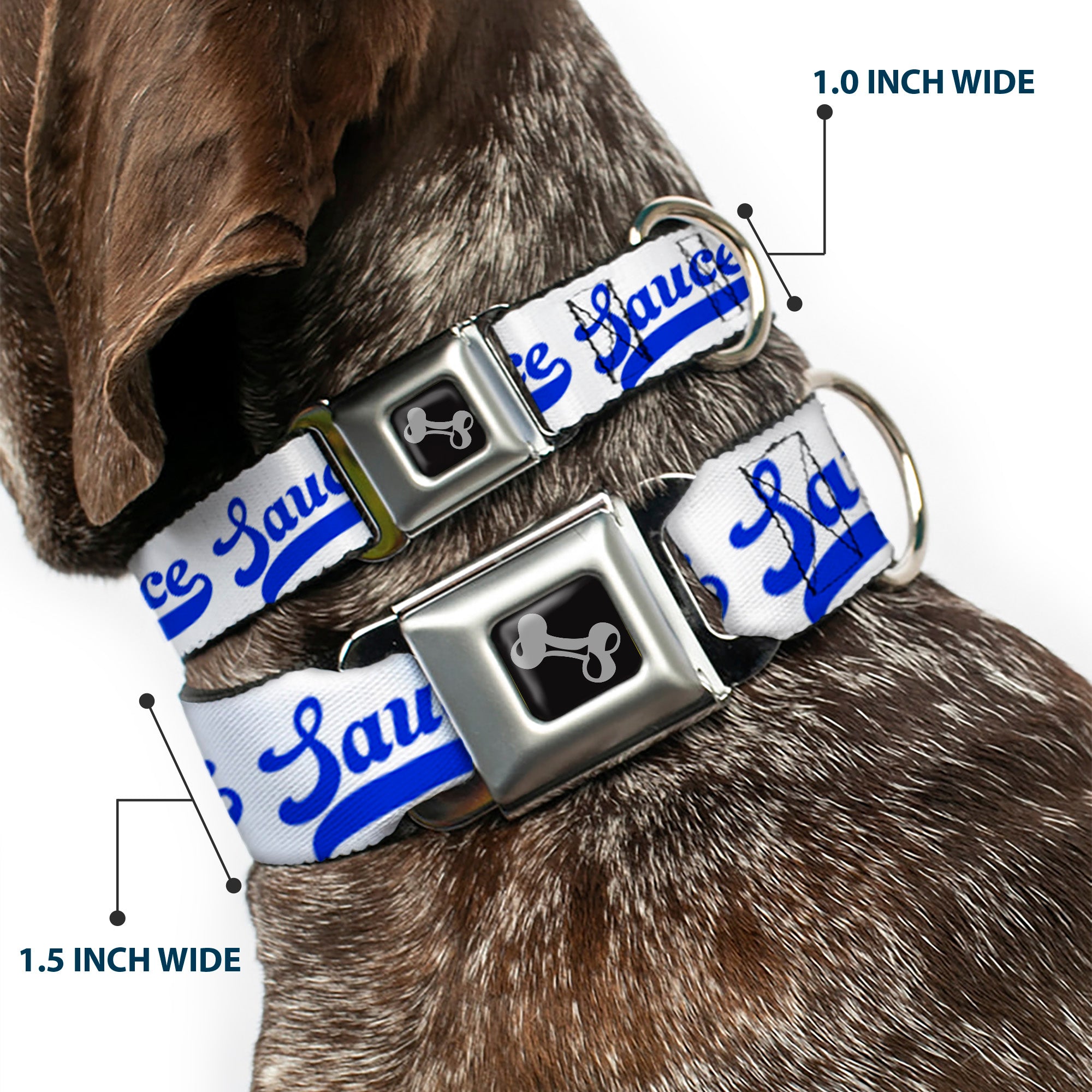 Dog Bone Black/Silver Seatbelt Buckle Collar - SAUCE Baseball Script White/Blue Seatbelt Buckle Collars Buckle-Down