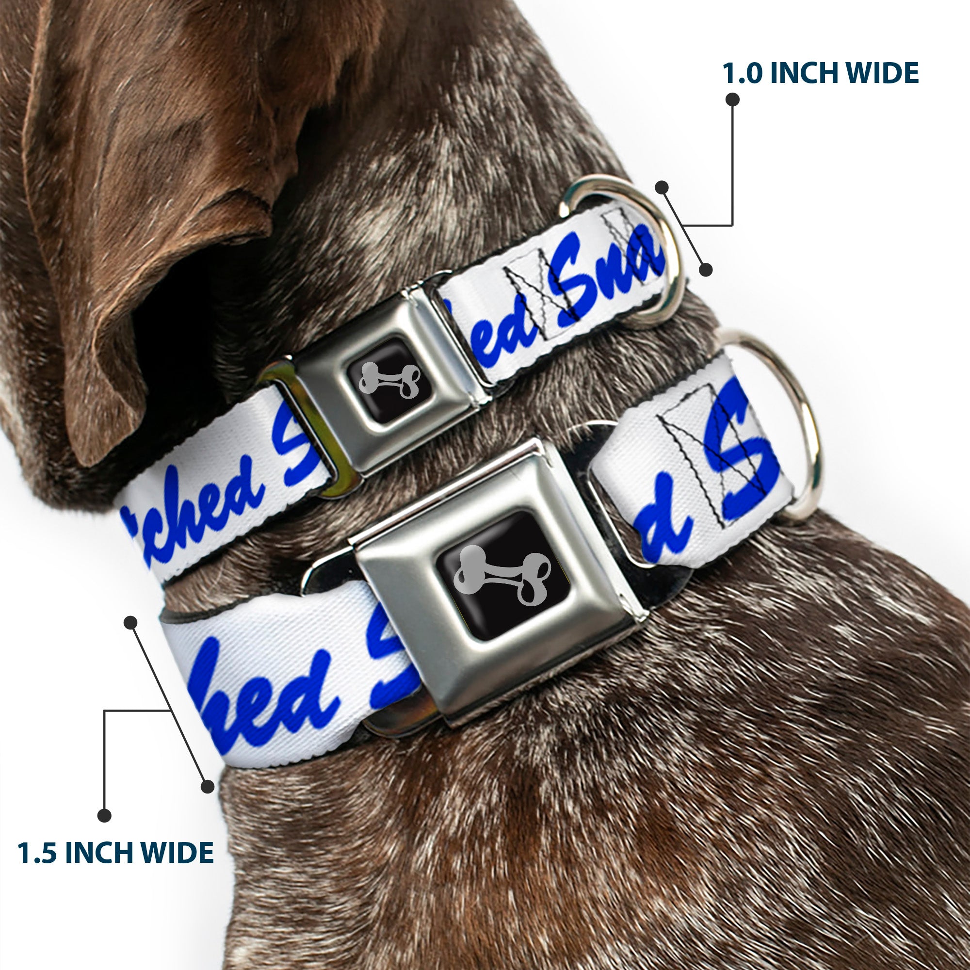 Dog Bone Black/Silver Seatbelt Buckle Collar - SNATCHED Script White/Blue Seatbelt Buckle Collars Buckle-Down