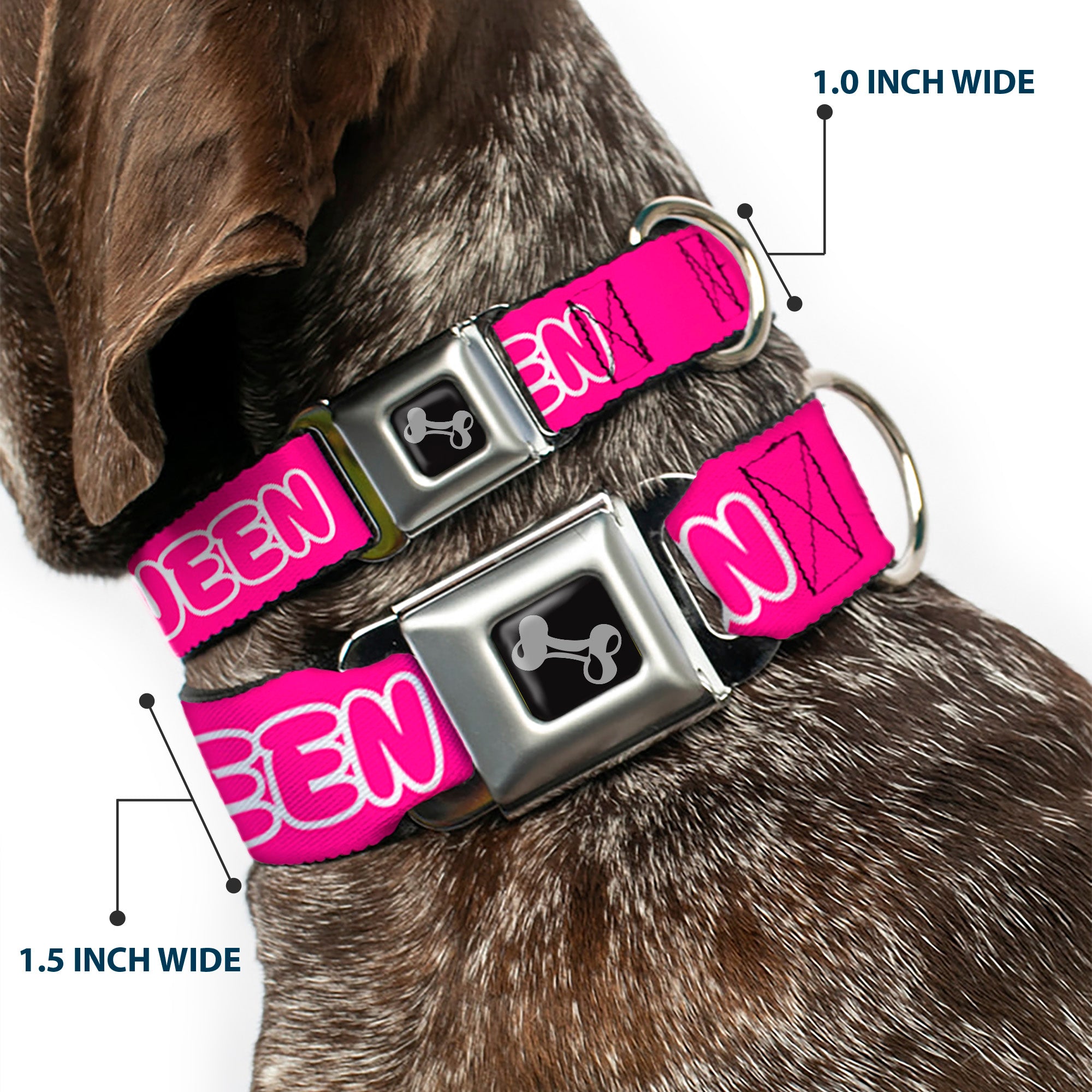 Dog Bone Black/Silver Seatbelt Buckle Collar - SLAY QUEEN Bubble Text Pink/White Seatbelt Buckle Collars Buckle-Down