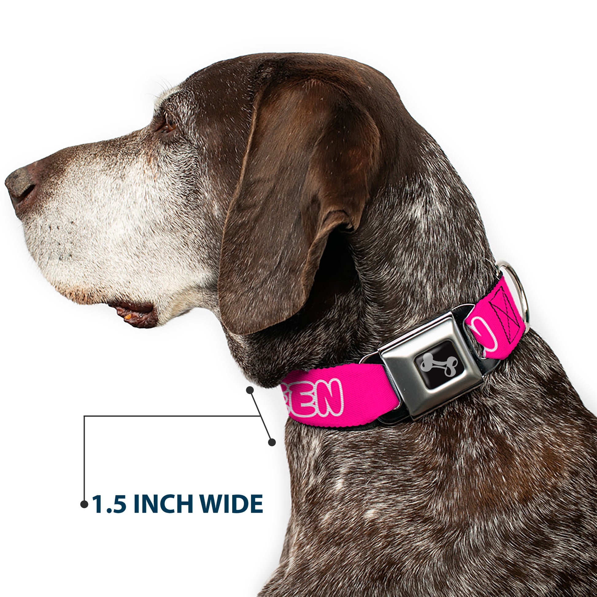 Dog Bone Black/Silver Seatbelt Buckle Collar - SLAY QUEEN Bubble Text Pink/White Seatbelt Buckle Collars Buckle-Down