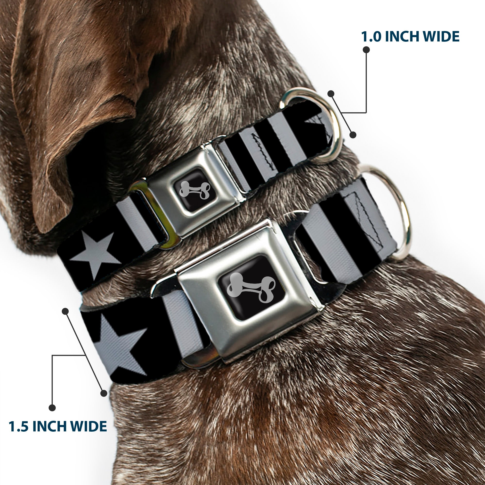 Dog Bone Black/Silver Seatbelt Buckle Collar - Star and Three Stripes Black/Gray Seatbelt Buckle Collars Buckle-Down