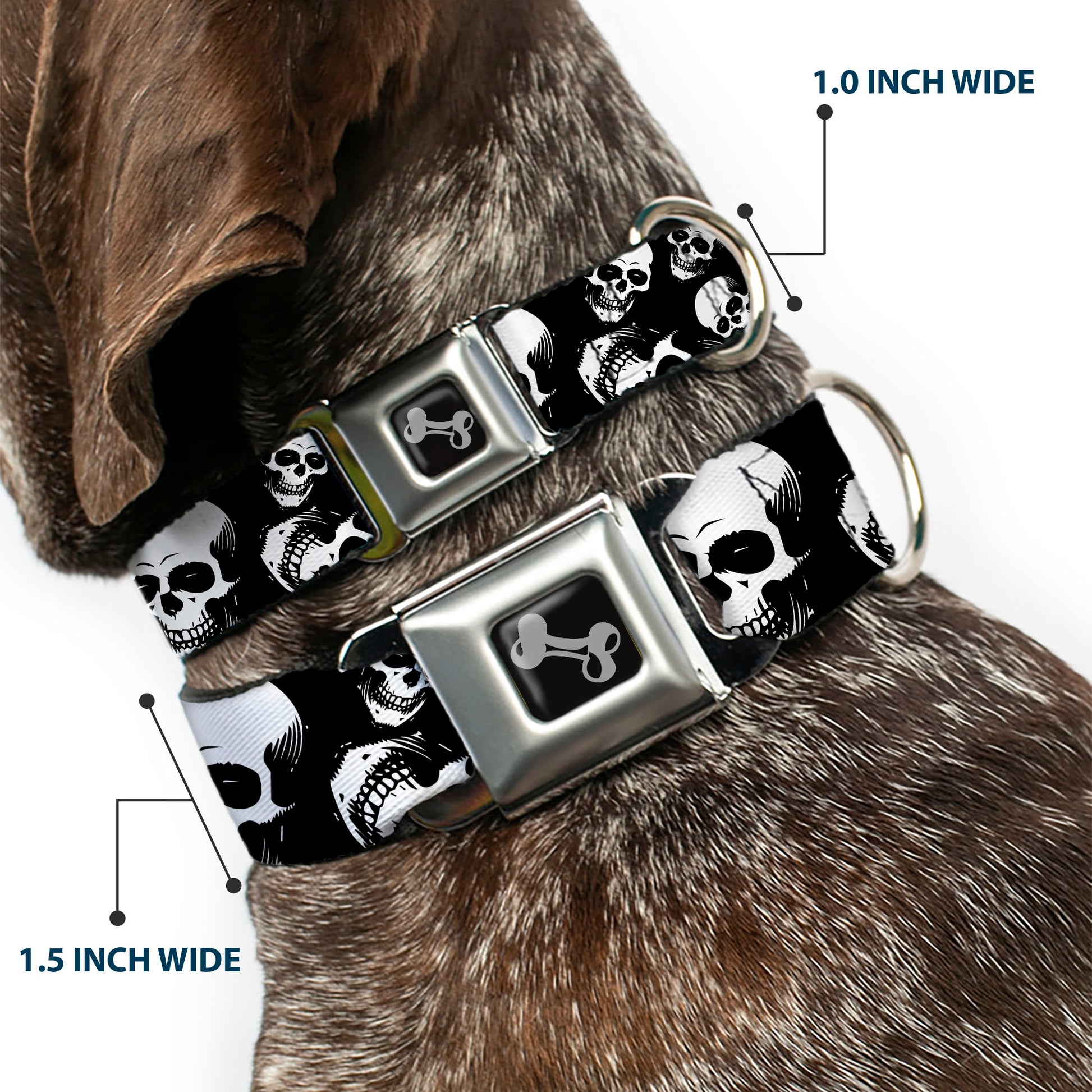 Dog Bone Black/Silver Seatbelt Buckle Collar - Smiling Vivid Skulls Black/White/Grays Seatbelt Buckle Collars Buckle-Down