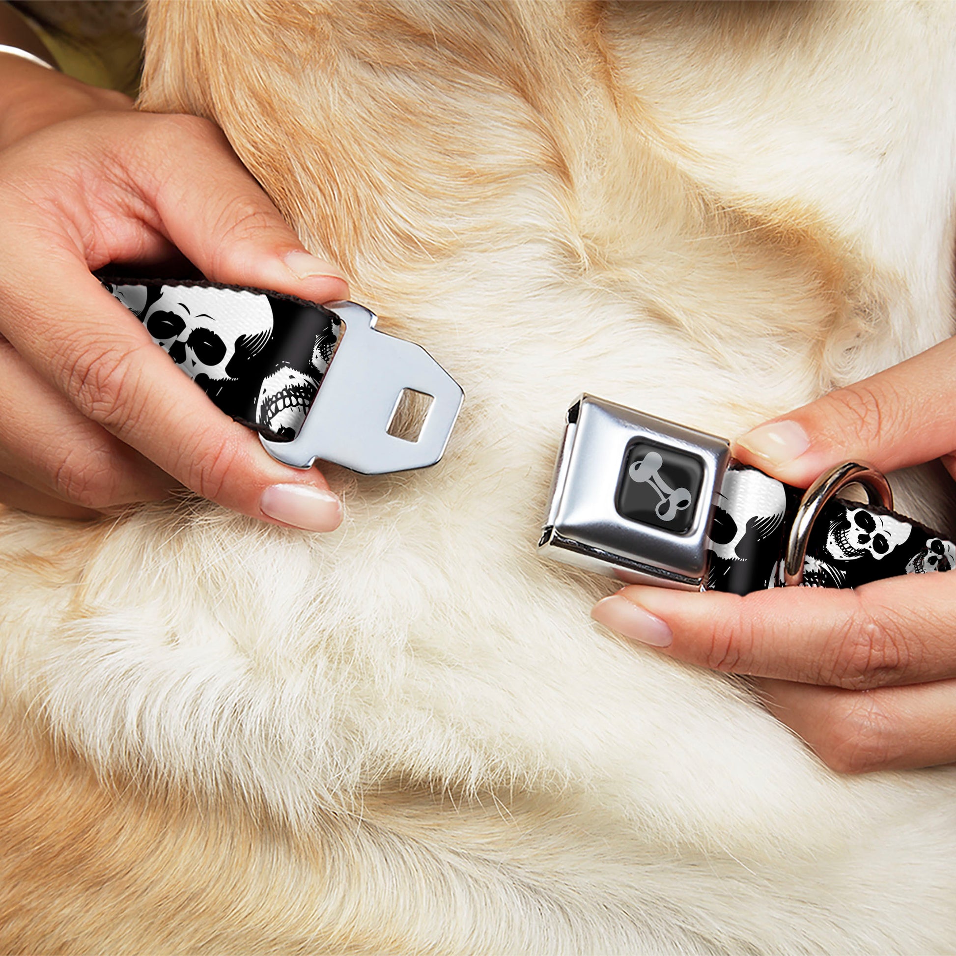 Dog Bone Black/Silver Seatbelt Buckle Collar - Smiling Vivid Skulls Black/White/Grays Seatbelt Buckle Collars Buckle-Down