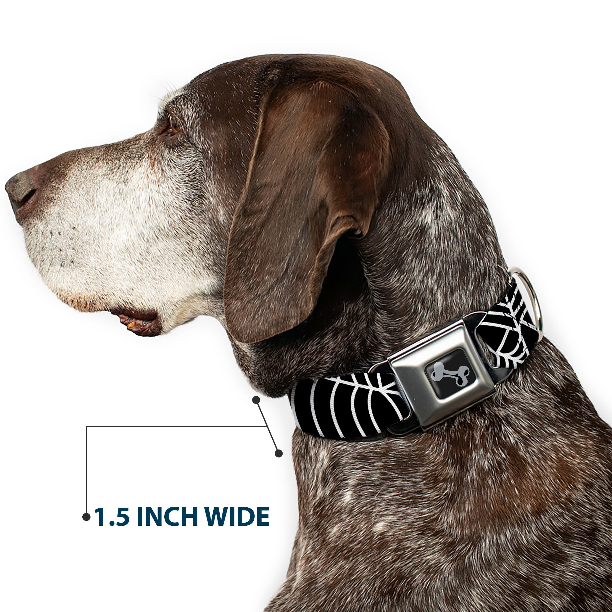 Dog Bone Black/Silver Seatbelt Buckle Collar - Spider Webs Black/White Seatbelt Buckle Collars Buckle-Down