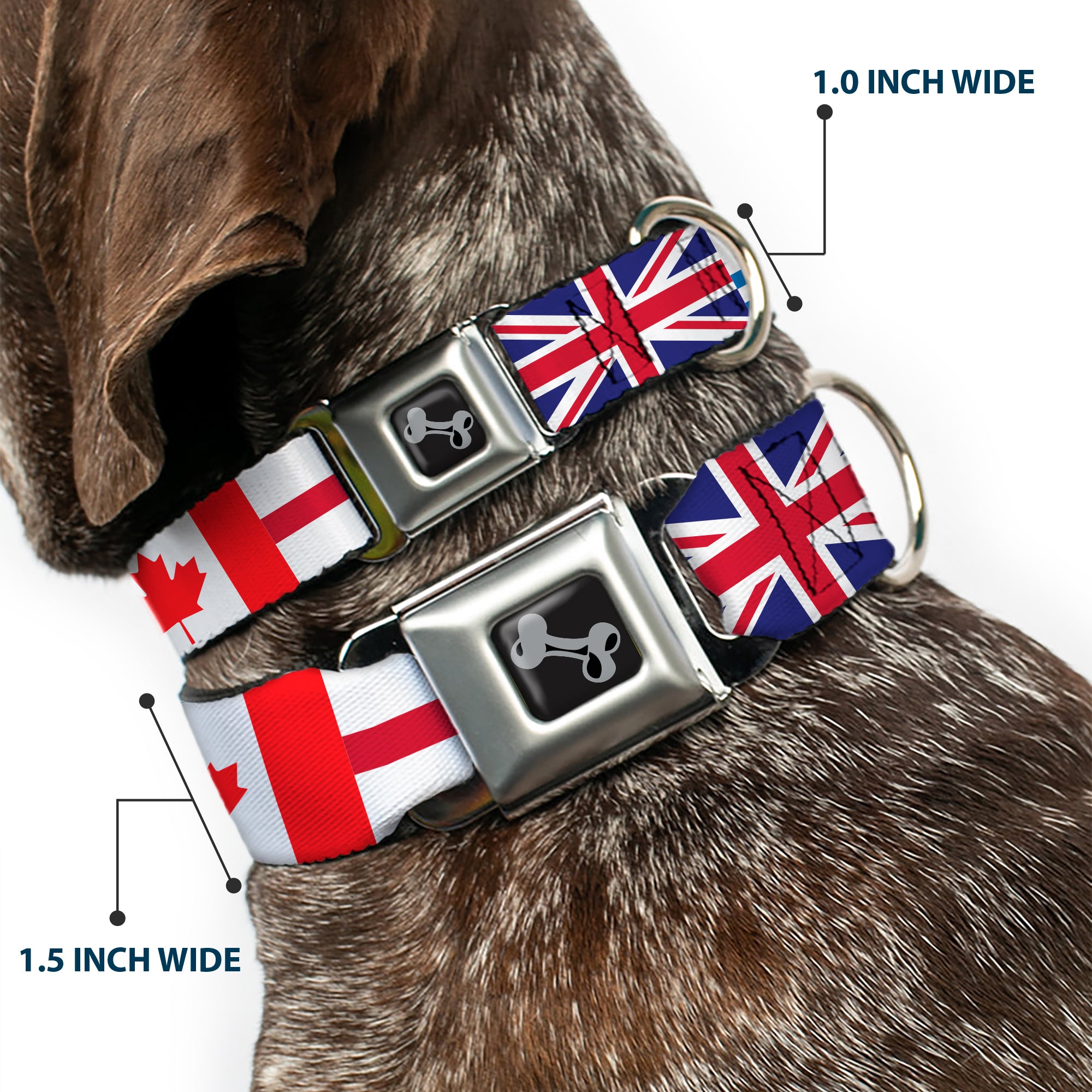 Dog Bone Black/Silver Seatbelt Buckle Collar - Soccer Fan World Cup Team Country Flags Seatbelt Buckle Collars Buckle-Down