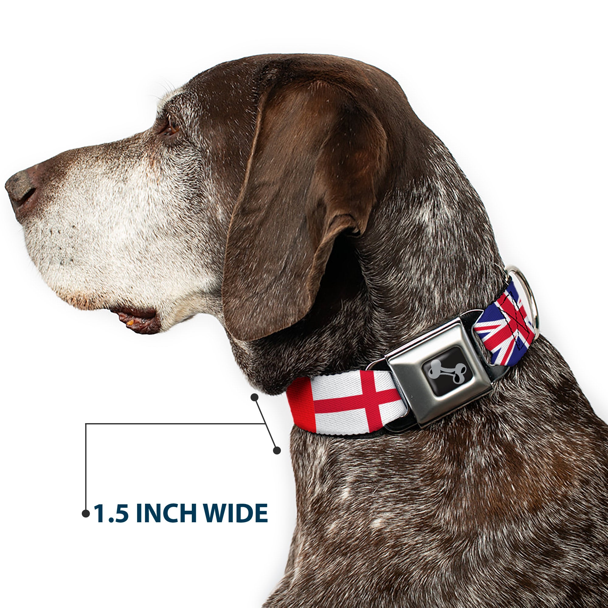 Dog Bone Black/Silver Seatbelt Buckle Collar - Soccer Fan World Cup Team Country Flags Seatbelt Buckle Collars Buckle-Down