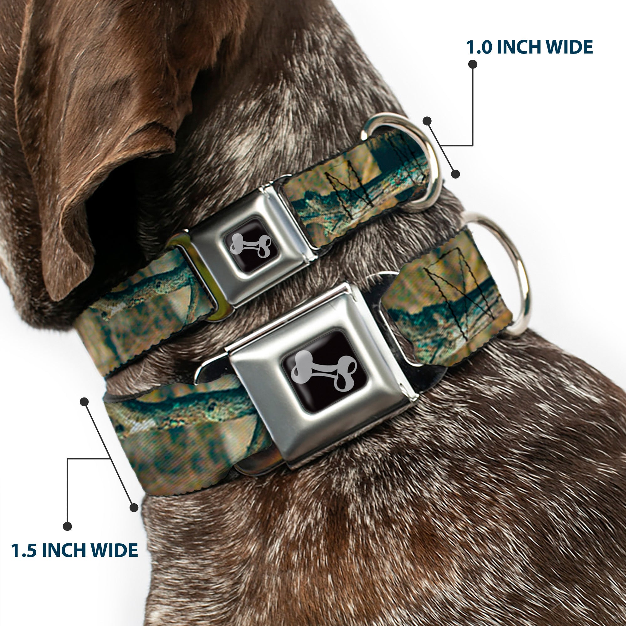 Dog Bone Seatbelt Buckle Collar - Mossy Oak Break-Up Infinity Seatbelt Buckle Collars Mossy Oak