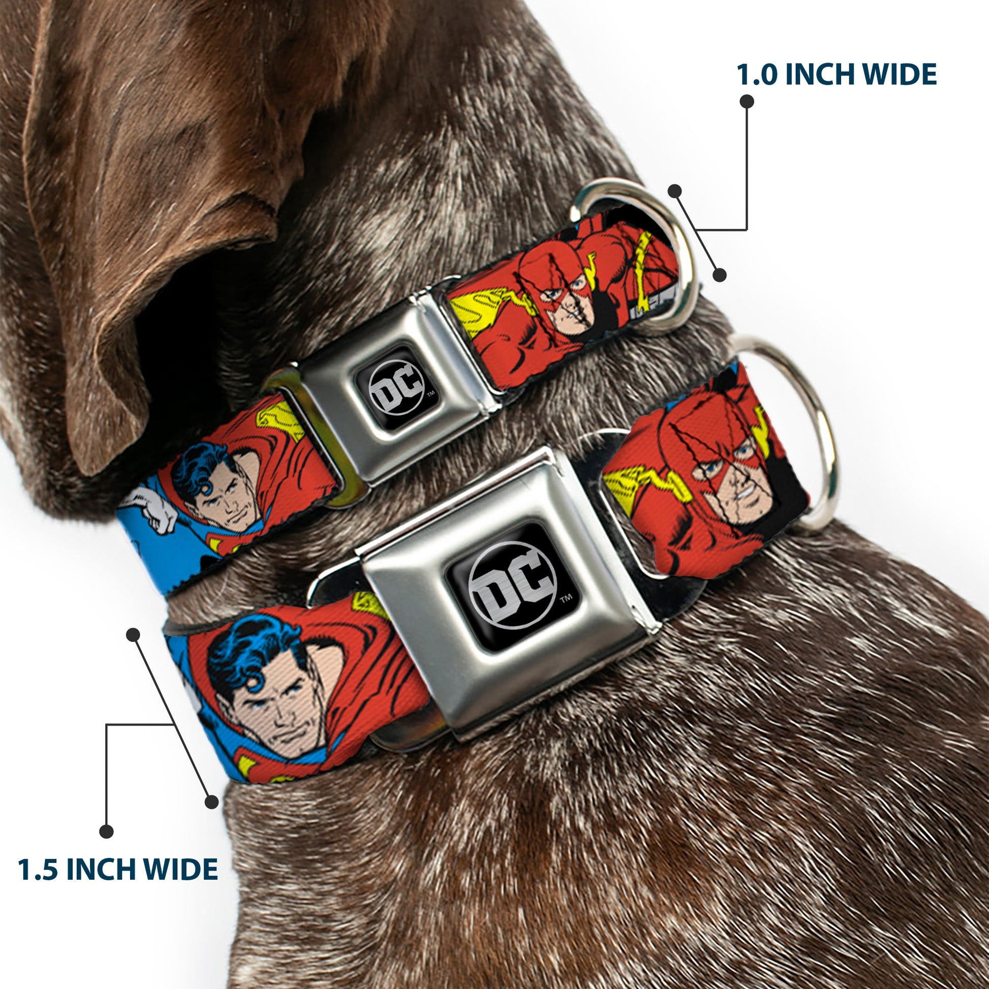 DC Round Logo Black/Silver Seatbelt Buckle Collar - Justice League Superheroes CLOSE-UP New Seatbelt Buckle Collars DC Comics