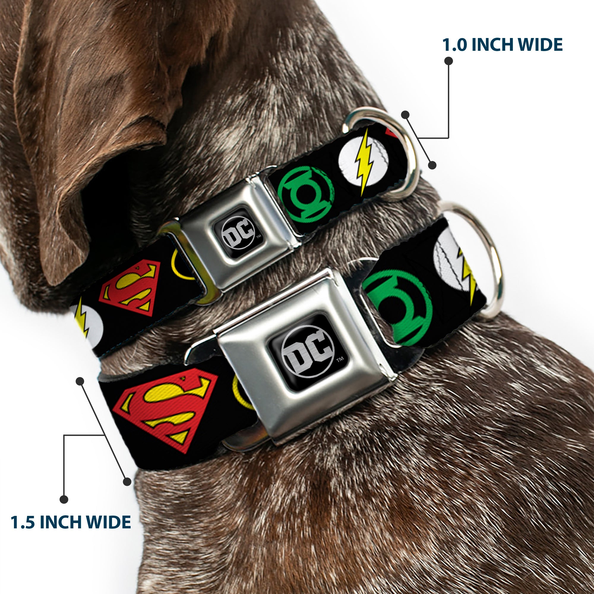 DC Round Logo Black/Silver Seatbelt Buckle Collar - Justice League Superhero Logos Seatbelt Buckle Collars DC Comics