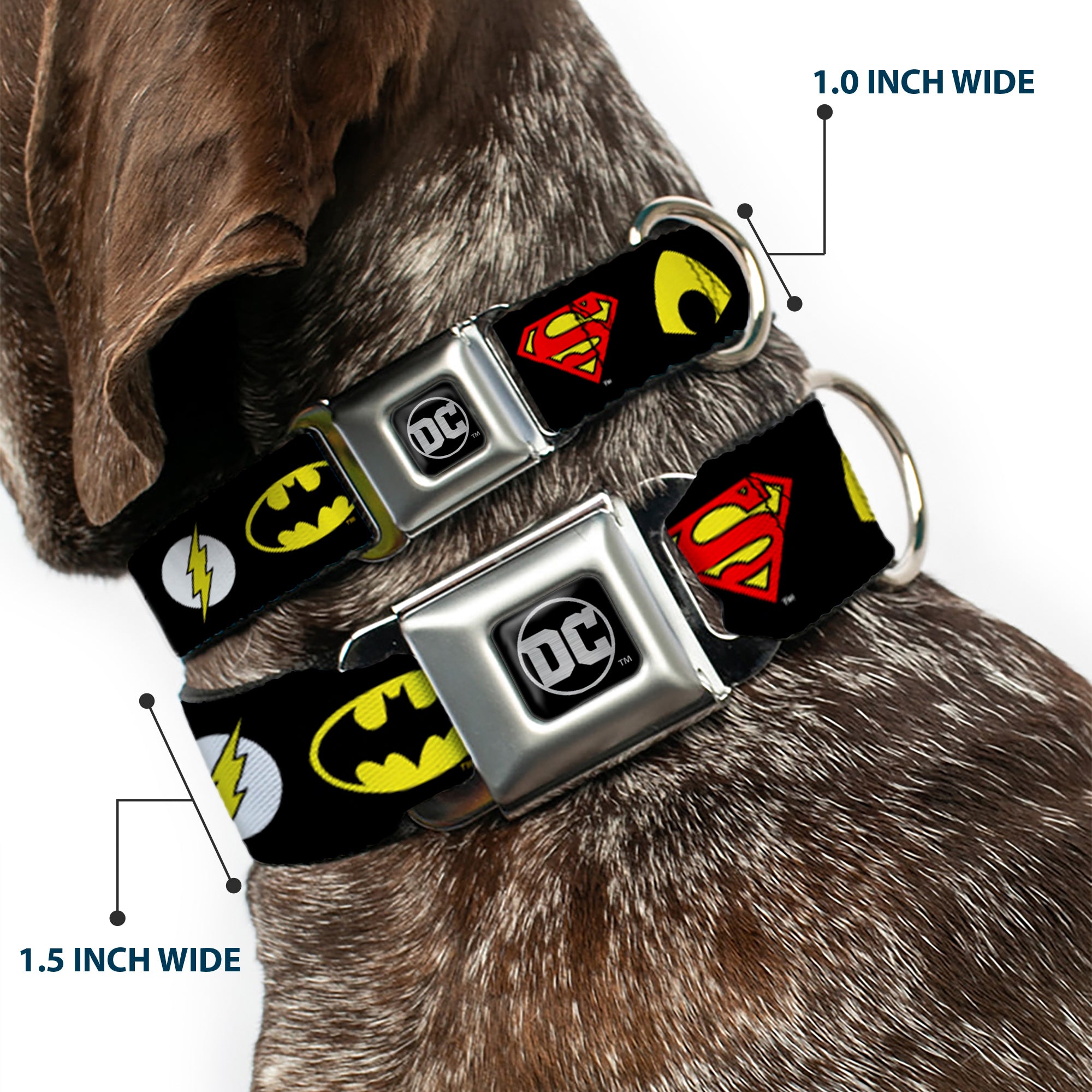 DC Round Logo Black/Silver Seatbelt Buckle Collar - Justice League 6-Superhero Logos Black Seatbelt Buckle Collars DC Comics