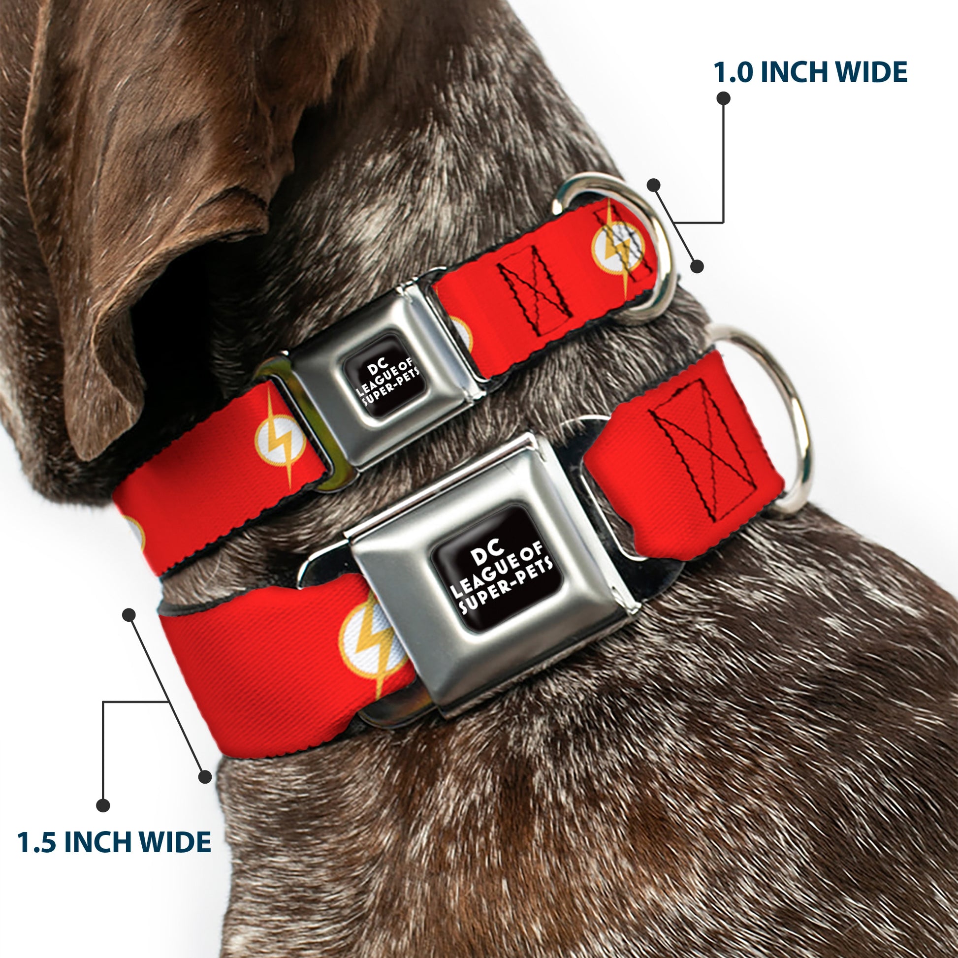 DC LEAGUE OF SUPER-PETS Logo Full Color Black/White Seatbelt Buckle Collar - DC League of Super-Pets Flash Bolt Logo Red/Yellow/White Seatbelt Buckle Collars DC Comics