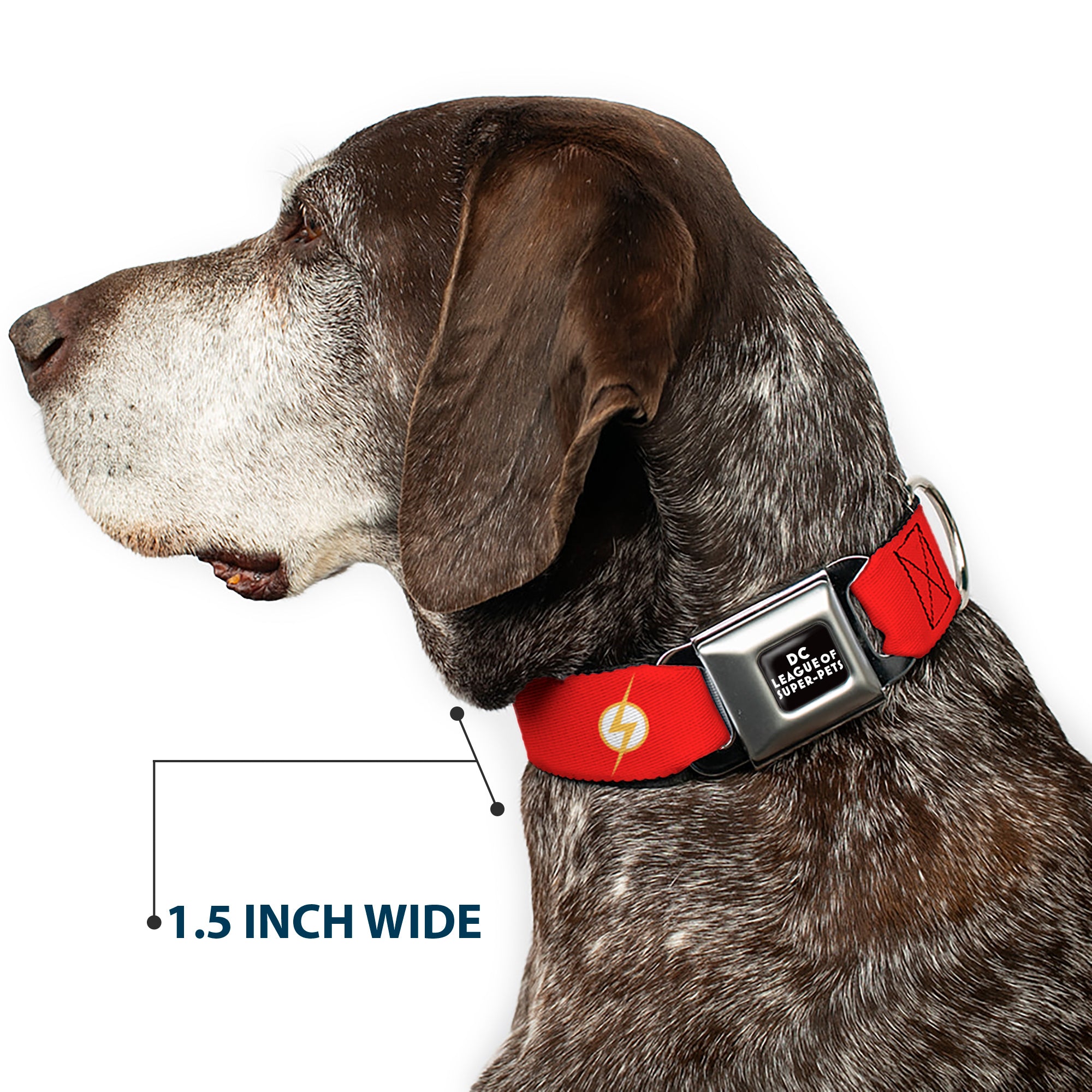 DC LEAGUE OF SUPER-PETS Logo Full Color Black/White Seatbelt Buckle Collar - DC League of Super-Pets Flash Bolt Logo Red/Yellow/White Seatbelt Buckle Collars DC Comics