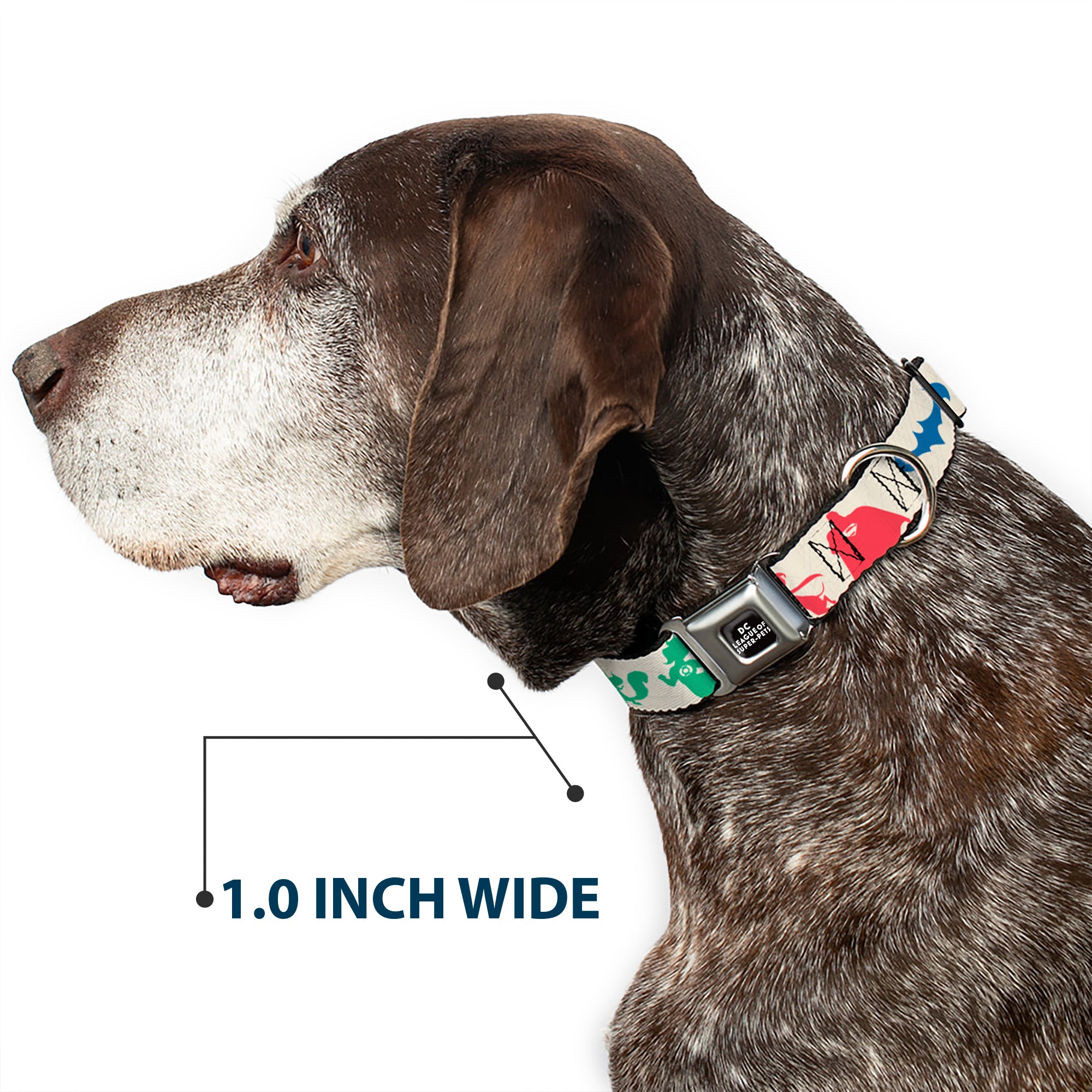 DC LEAGUE OF SUPER-PETS Logo Full Color Black/White Seatbelt Buckle Collar - DC League of Super-Pets Superhero with Pets and Logos Silhouette White/Multi Color Seatbelt Buckle Collars DC Comics