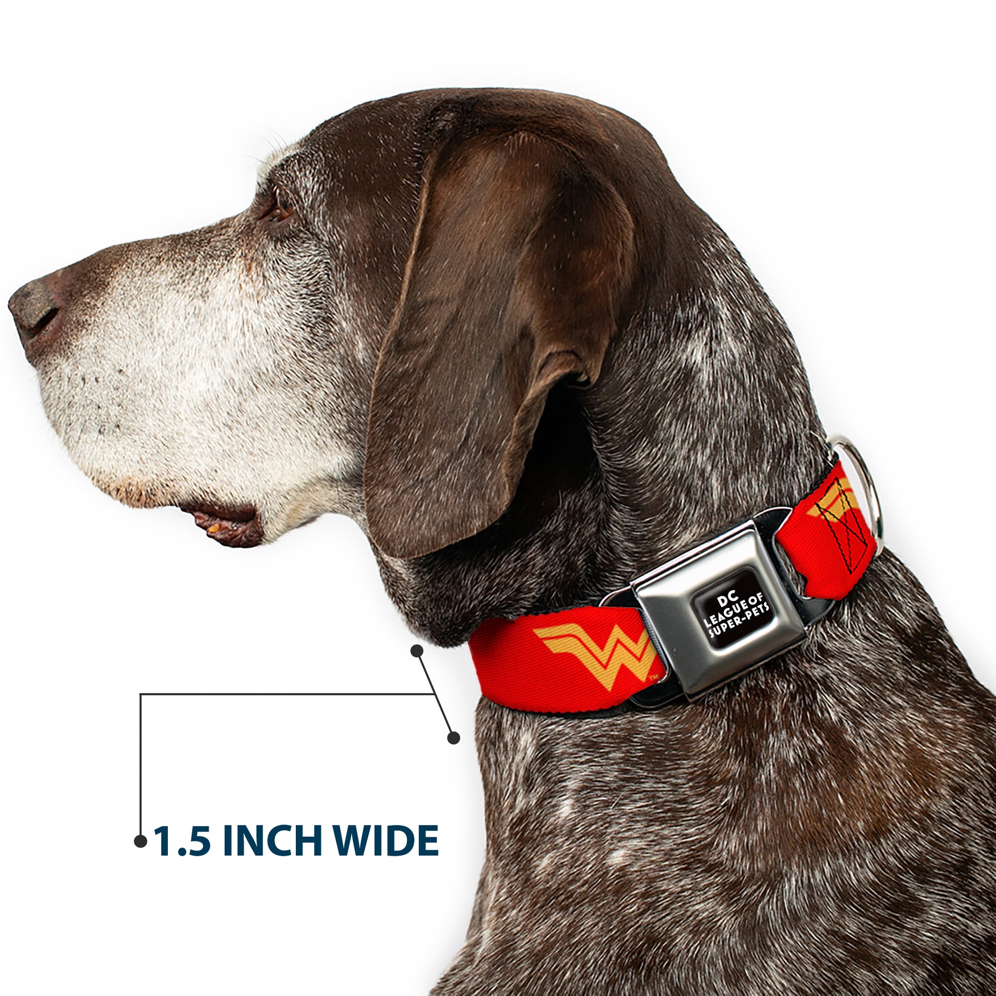 DC LEAGUE OF SUPER-PETS Logo Full Color Black/White Seatbelt Buckle Collar - DC League of Super-Pets Wonder Woman Logo Red/Yellow Seatbelt Buckle Collars DC Comics