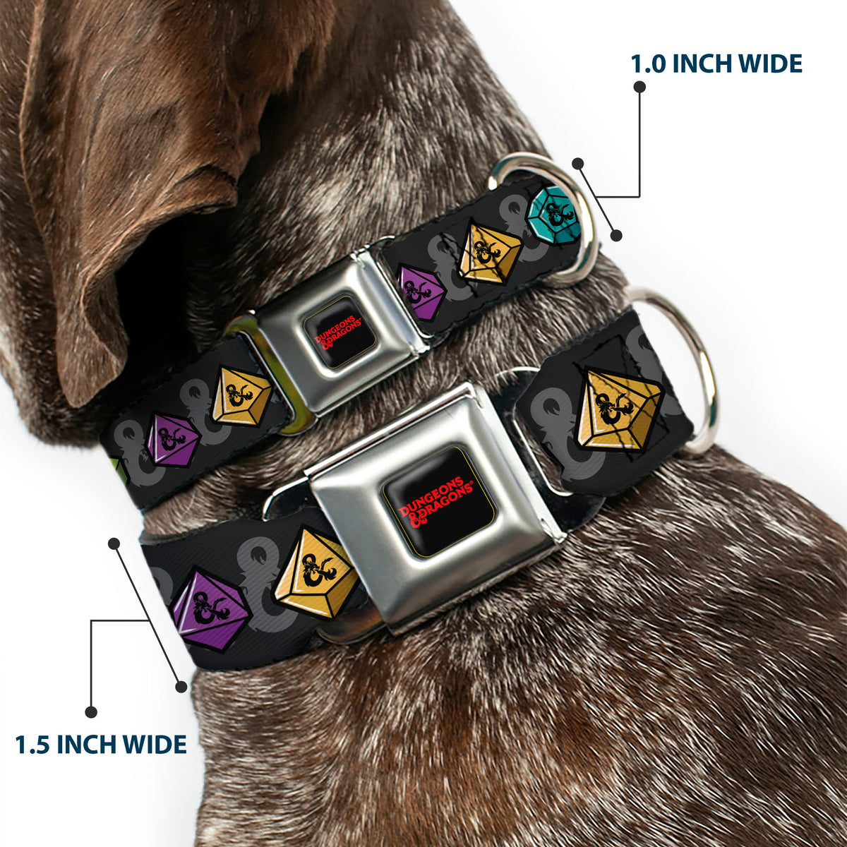 DUNGEONS & DRAGONS Text Logo Full Color Black/Red Seatbelt Buckle Collar - Dungeons & Dragons Dice and Ampersand Logo Dark Gray/Multi Color Dog Collars Seatbelt Buckle Dungeons & Dragons