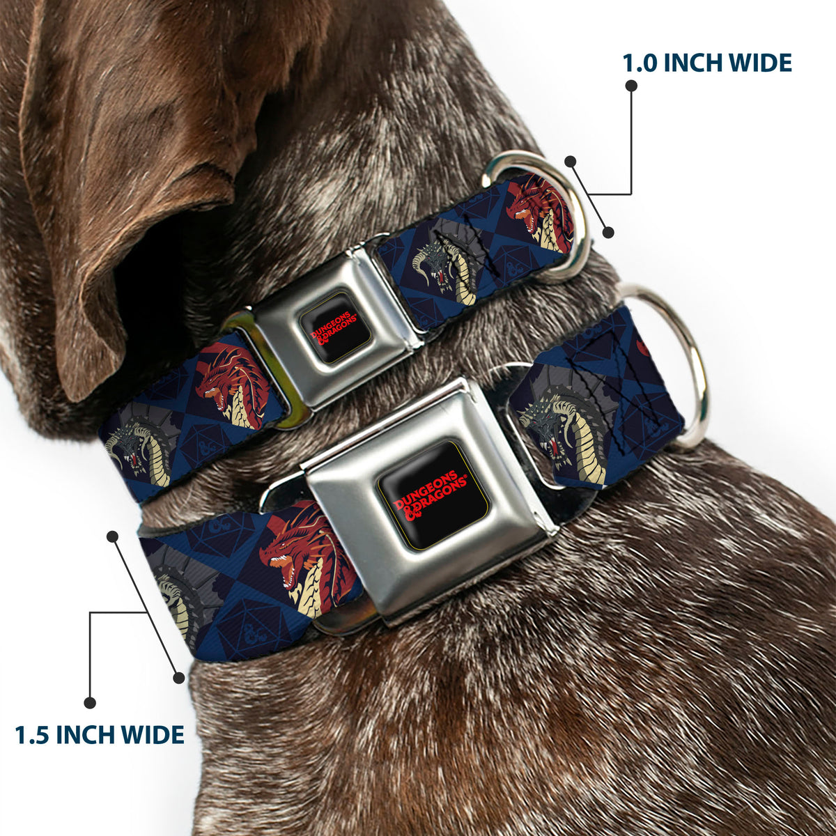 DUNGEONS & DRAGONS Text Logo Full Color Black/Red Seatbelt Buckle Collar - Dungeons & Dragons True Dragon Blocks Blues Dog Collars Seatbelt Buckle Dungeons & Dragons
