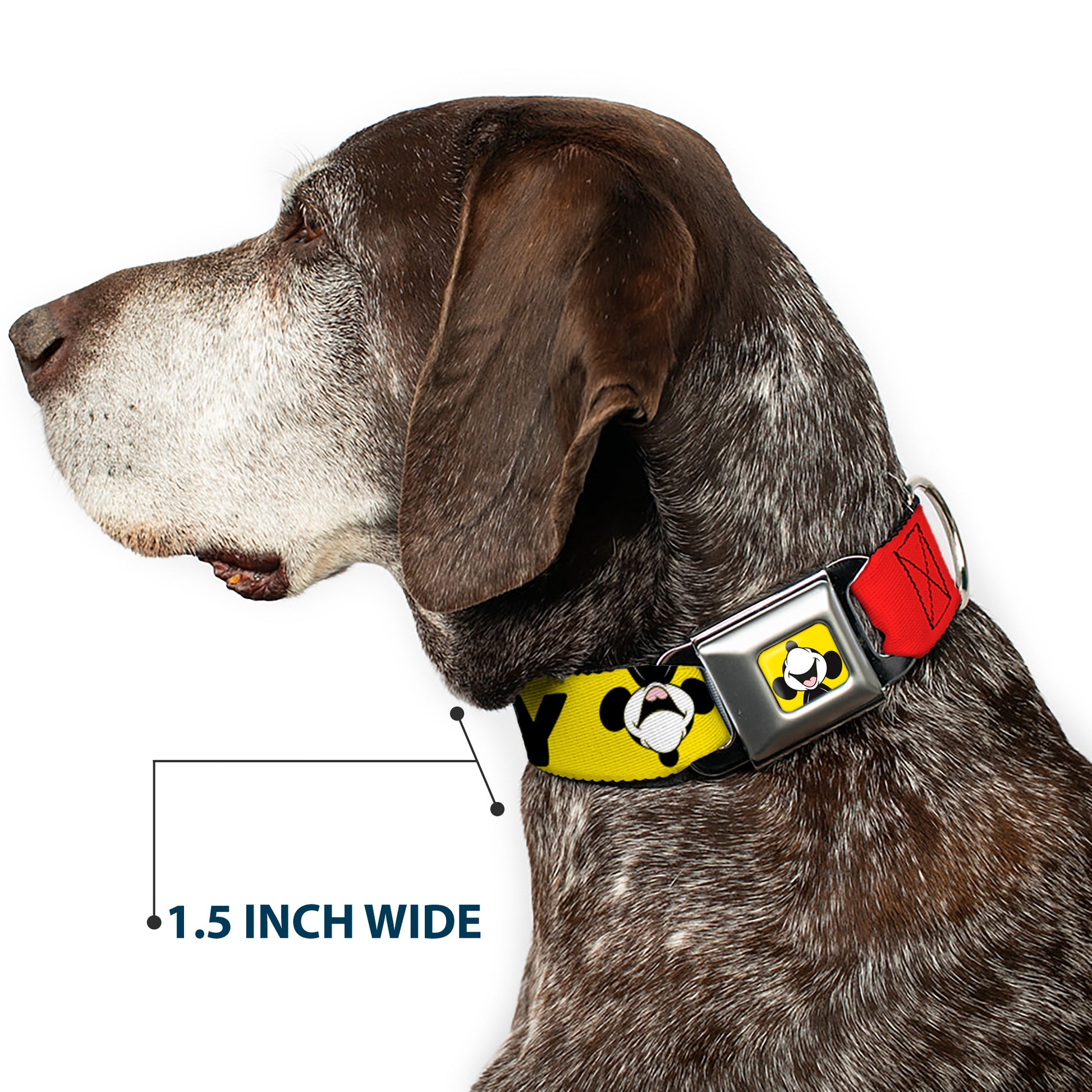 Mickey Smiling Up Pose Full Color Yellow/Black/White Seatbelt Buckle Collar - MICKEY Smiling Up Pose Flip/Buttons Yellow/Black/Red Seatbelt Buckle Collars Disney