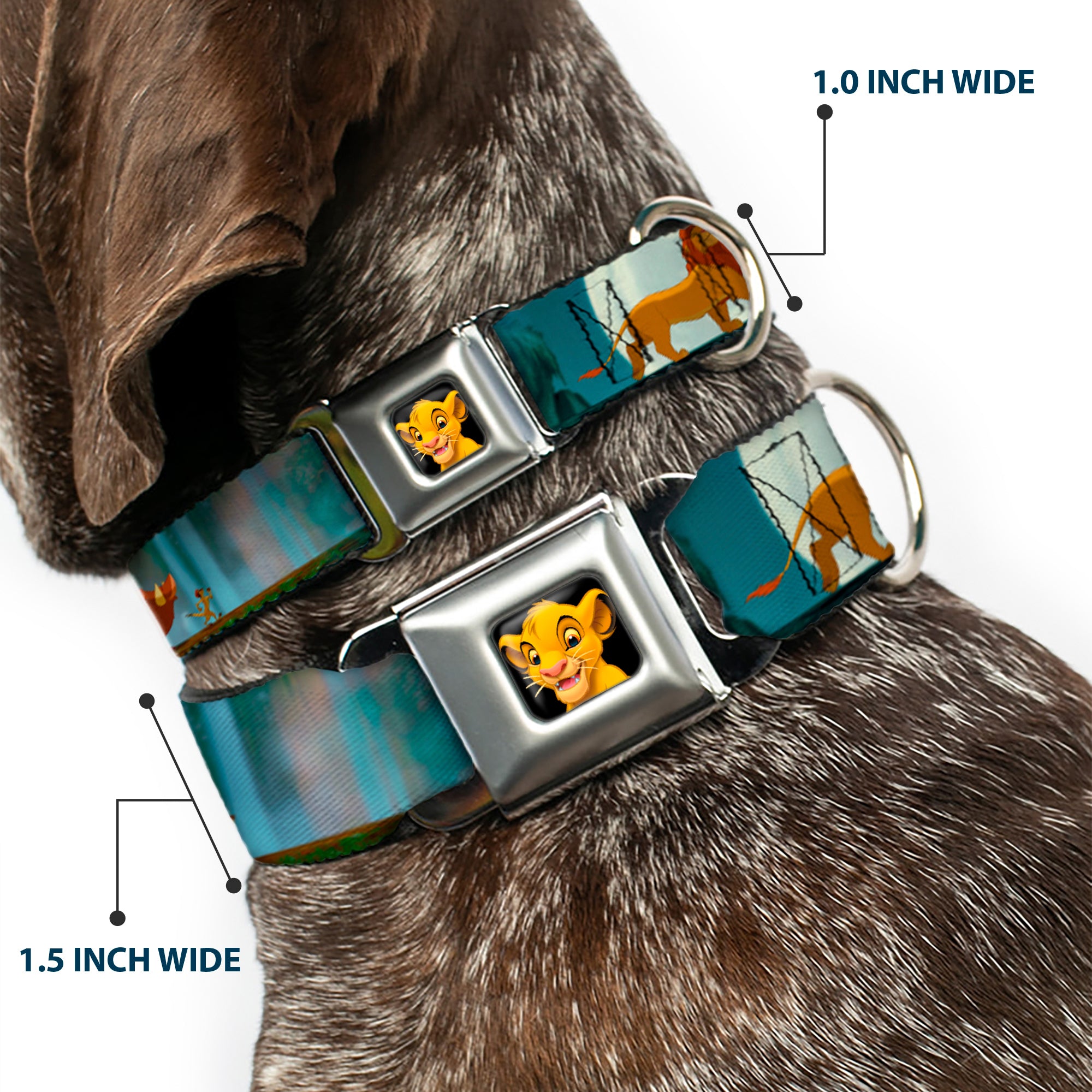 Simba2 CLOSE-UP Full Color Seatbelt Buckle Collar - Lion King Simba, Pumba & Timon Growing Up Seatbelt Buckle Collars Disney