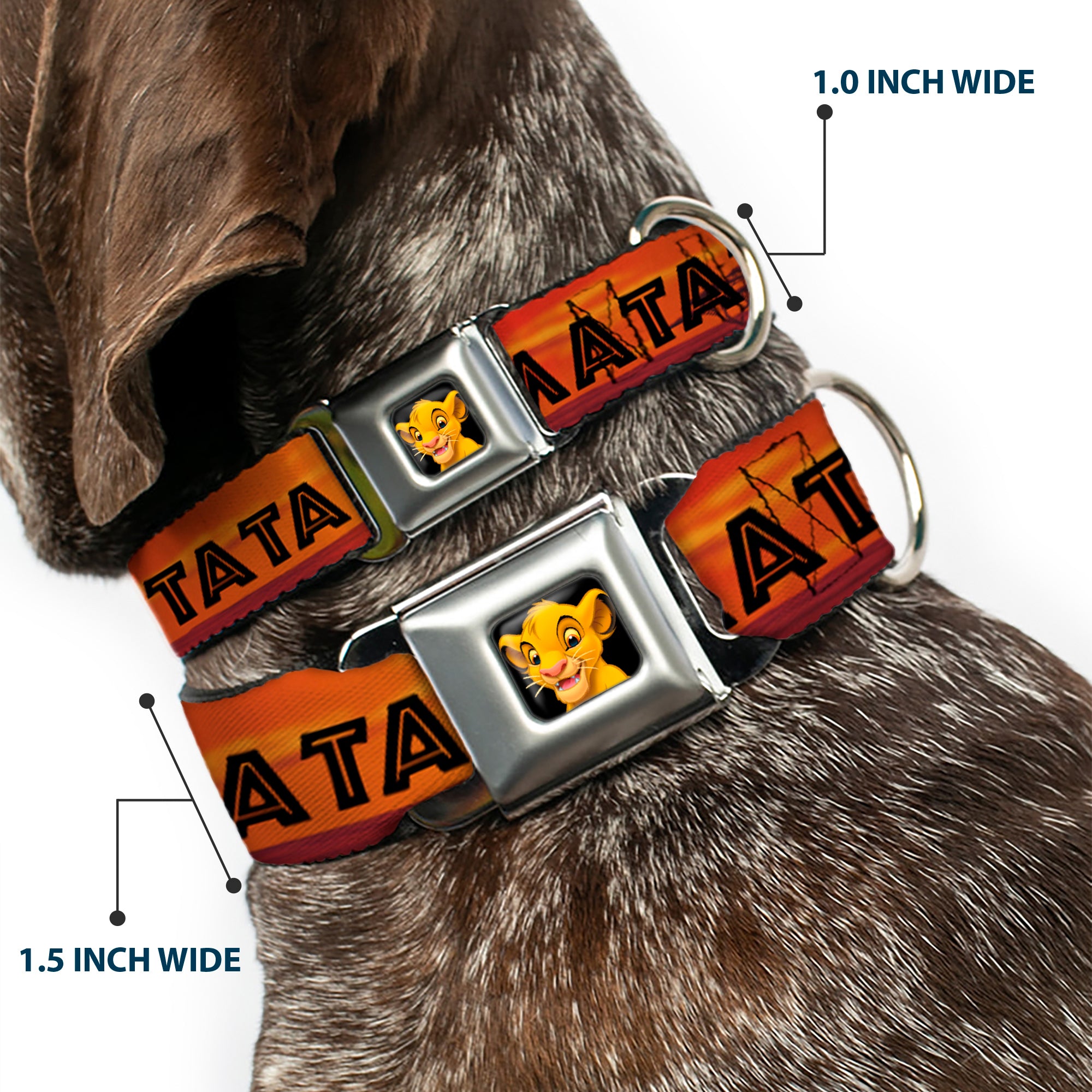 Simba2 CLOSE-UP Full Color Seatbelt Buckle Collar - Lion King HAKUNA MATATA Sunset Oranges/Black Seatbelt Buckle Collars Disney