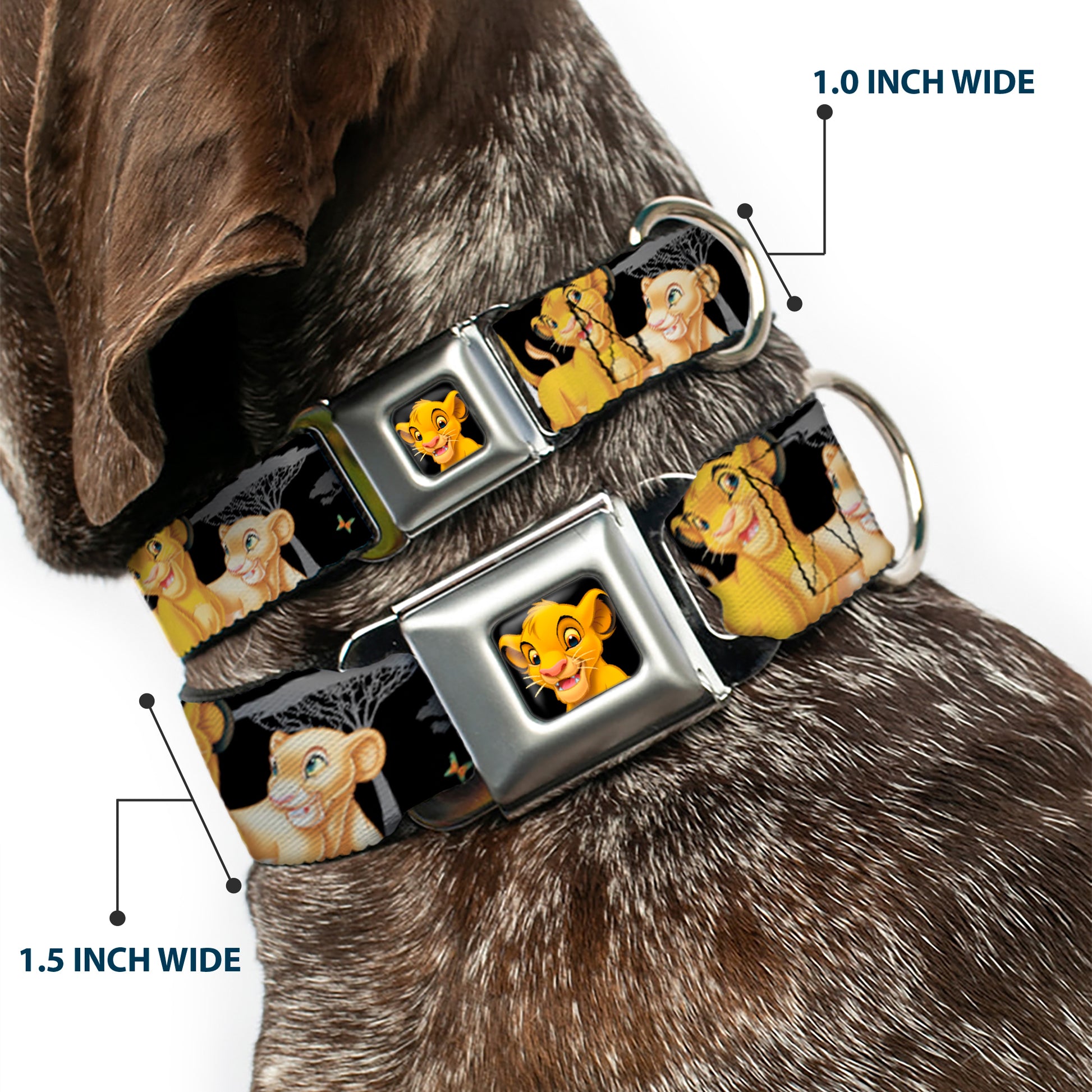 Simba2 CLOSE-UP Full Color Seatbelt Buckle Collar - Lion King Simba & Nala HAKUNA MATATA Seatbelt Buckle Collars Disney