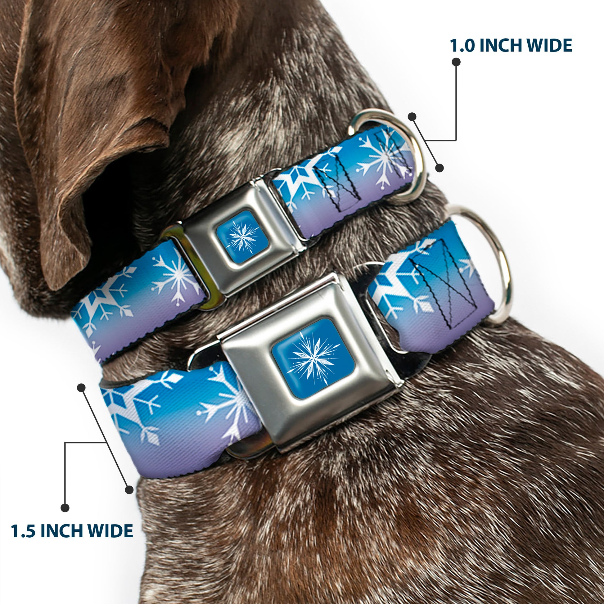 Frozen II Snowflake Full Color Blue/White Seatbelt Buckle Collar - Frozen II Snowflakes Blues/Purples/White Seatbelt Buckle Collars Disney