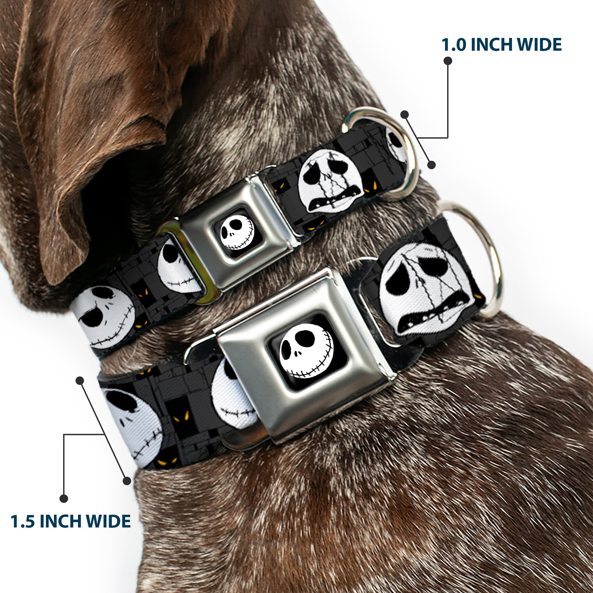 Jack Smile Full Color Seatbelt Buckle Collar - Nightmare Before Christmas Jack Expressions Gray Seatbelt Buckle Collars Disney